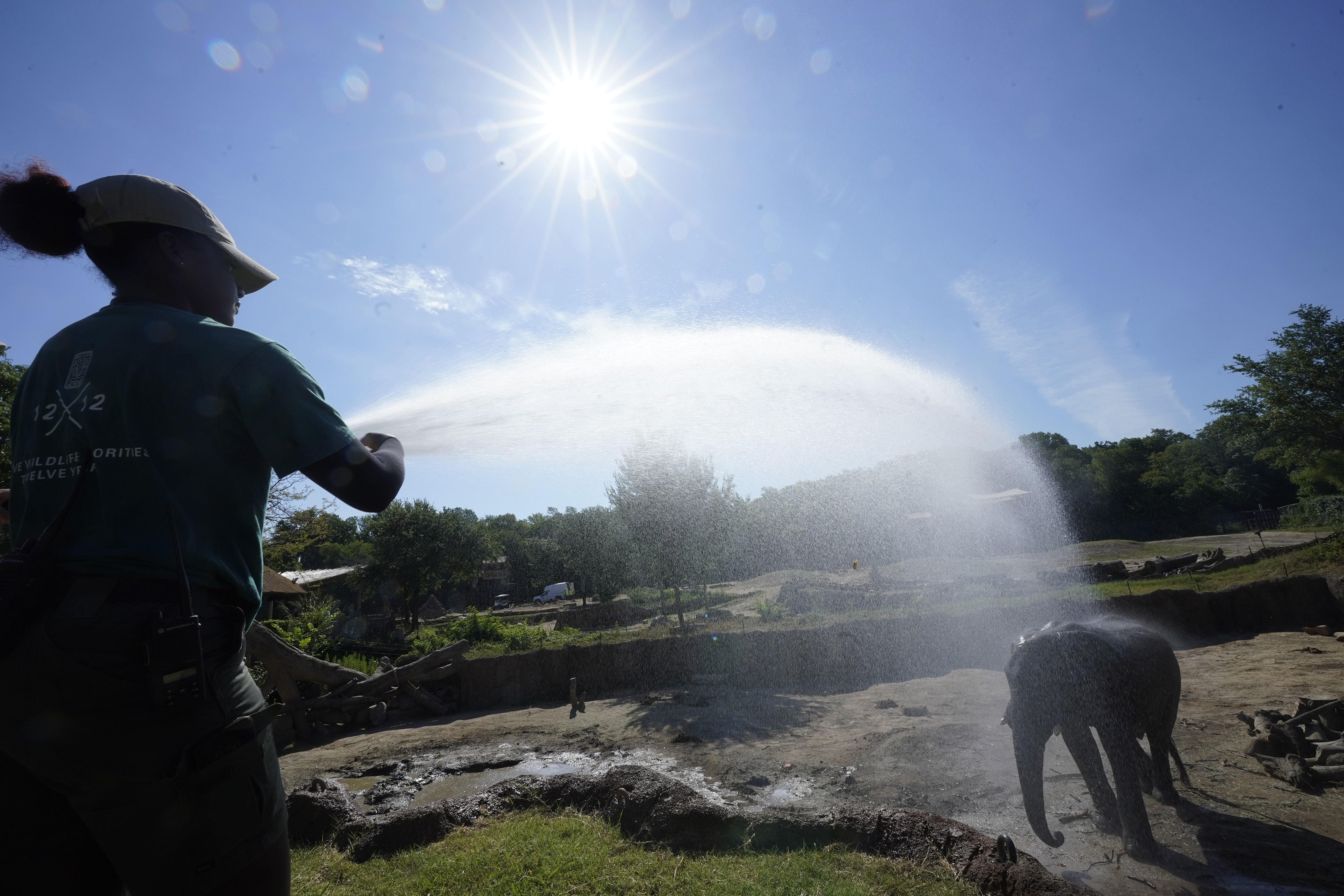 Zoologist Kris Marshall uses a water canon to help an elephant keep cool
