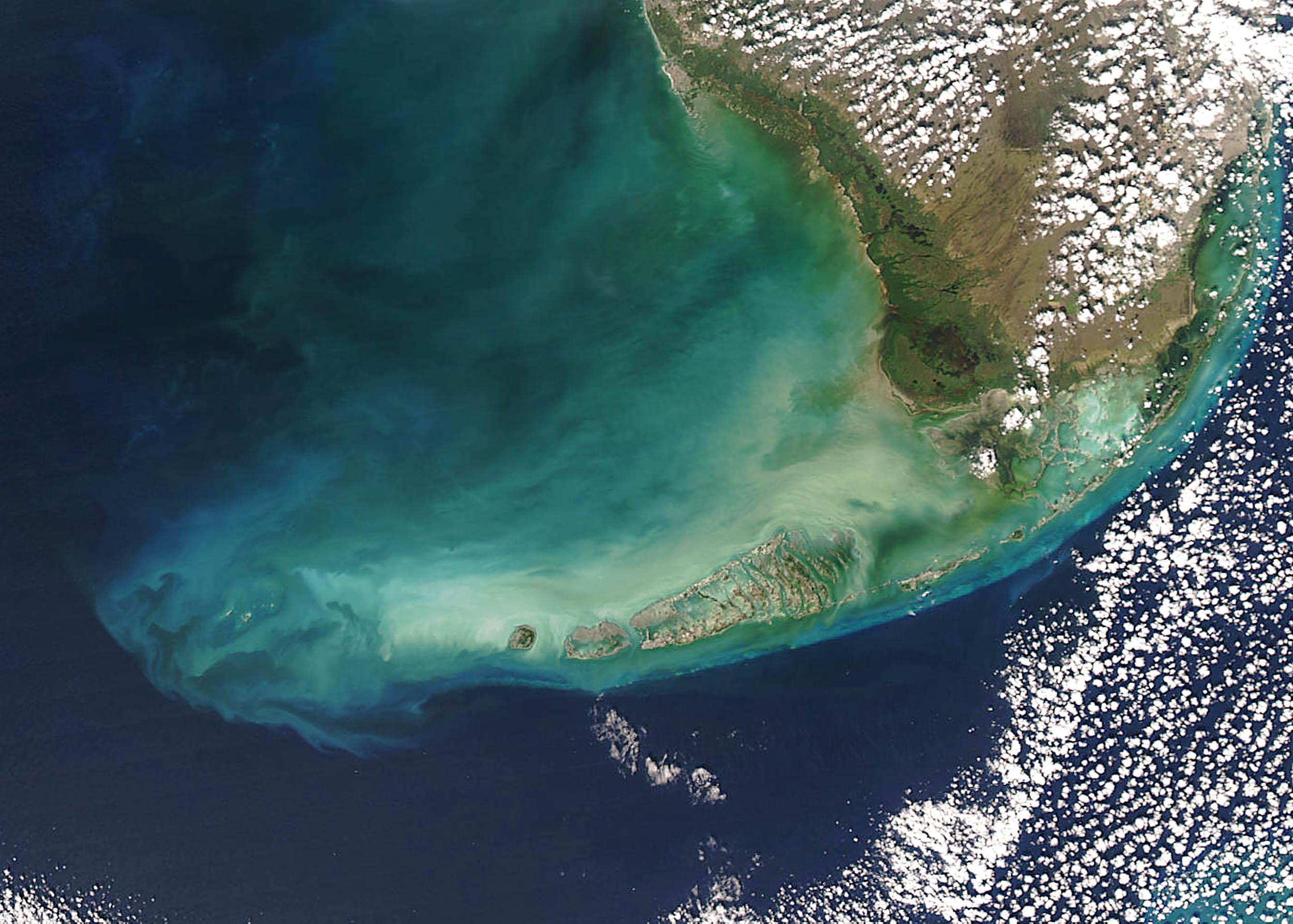 Satelite image of water near Florida