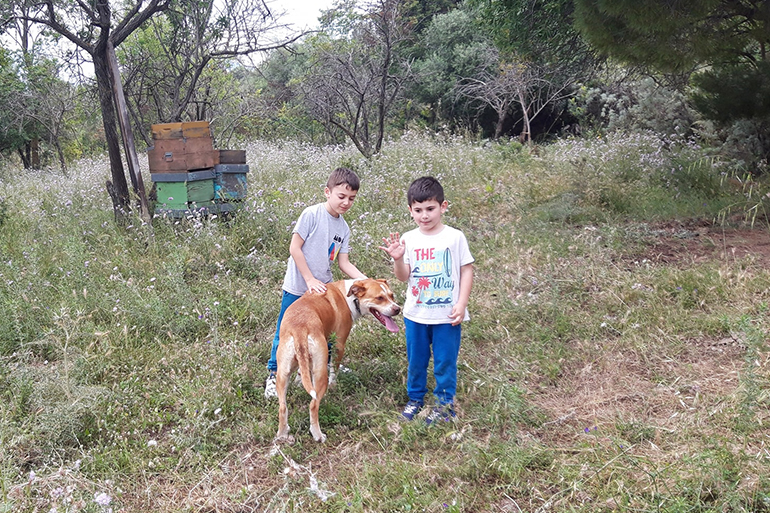A photo of two children with dog.