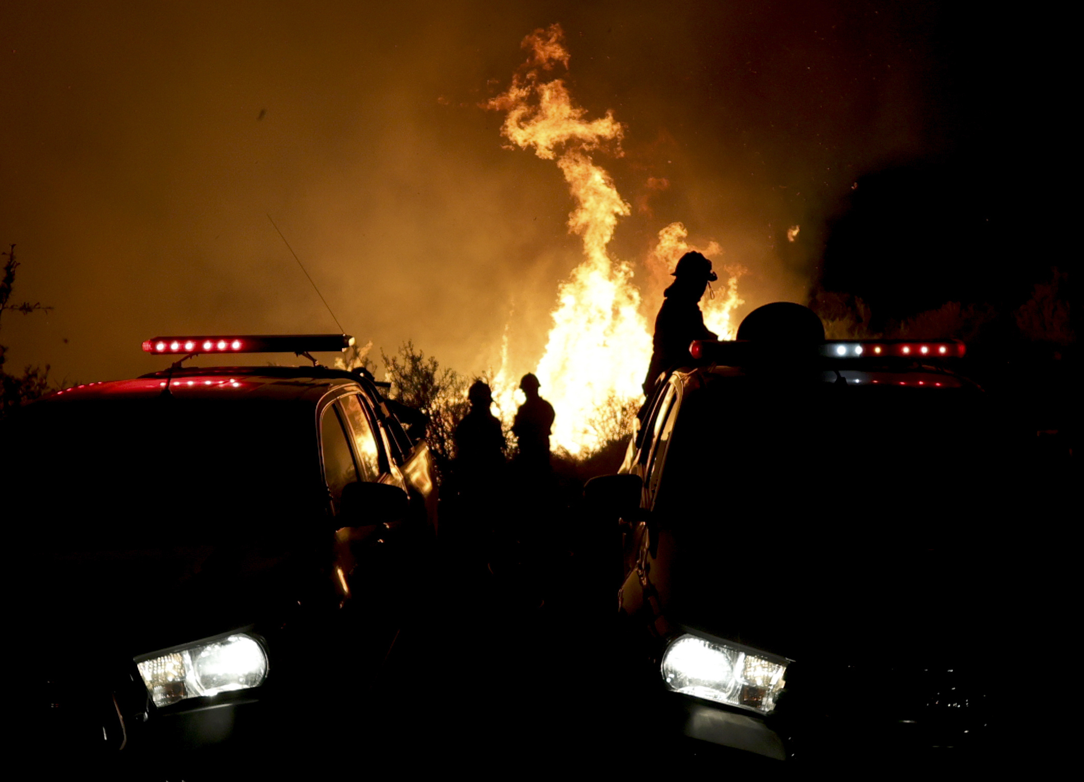 Firefighters work to put out a forest fire