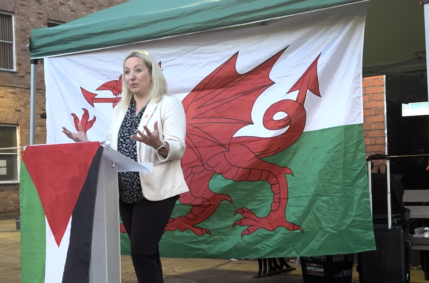 ‘Incredibly saddening that the UK government is incapable of calling for peace’ – Carrie Harper, a Welsh county councillor and pro-Palestinian campaigner