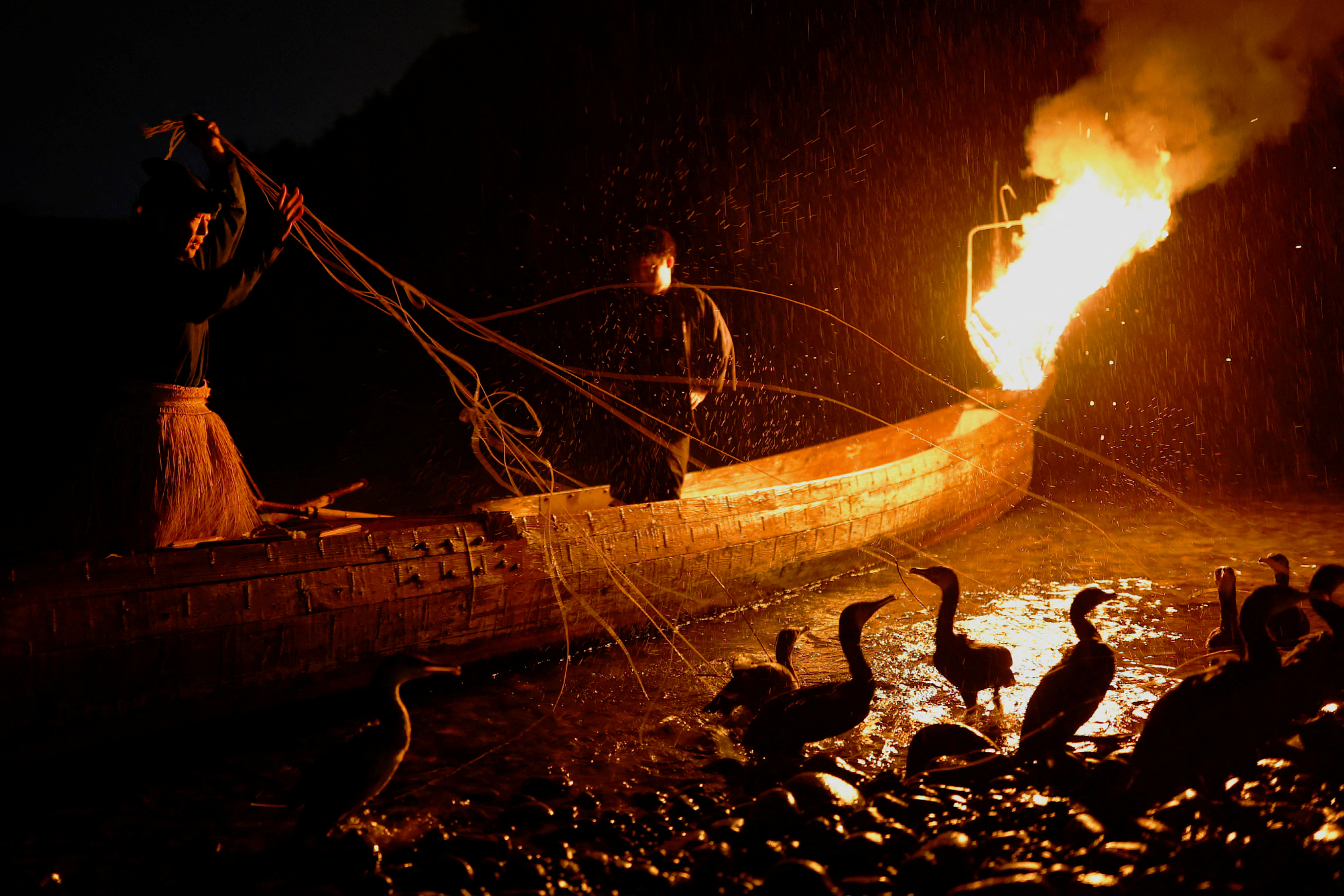 Cormorant fishing master, known as usho, Youichiro Adachi (left), 48, holds the leashes tied to the necks and bodies of cormorants as he prepares for cormorant fishing or ukai, on the Nagara River in Oze, Seki, Japan.