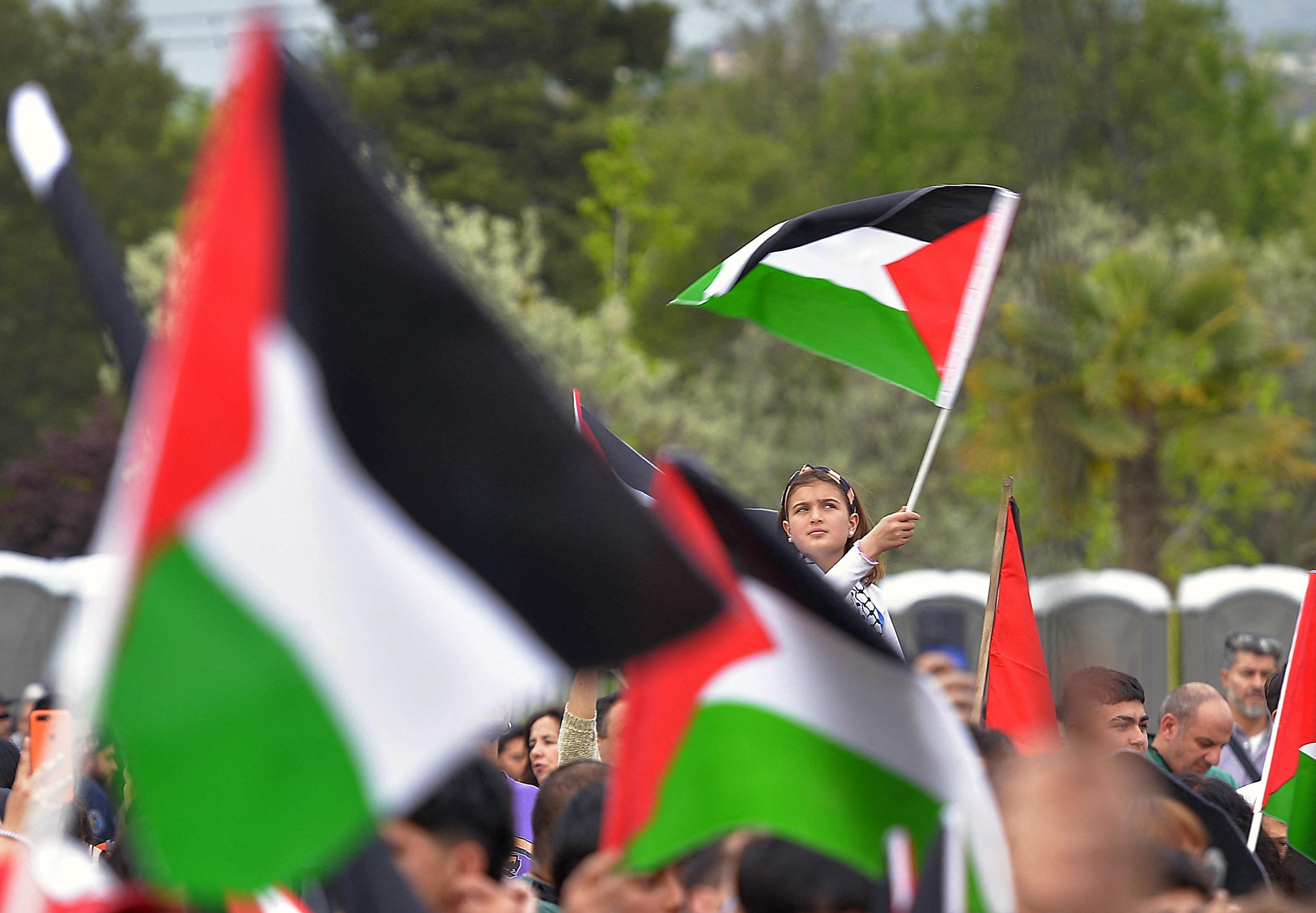 A little girl, sitting atop an adult's shoulders, waves a Palestinian flag above a crowd of concert-goers, who likewise raise Palestinian flags.