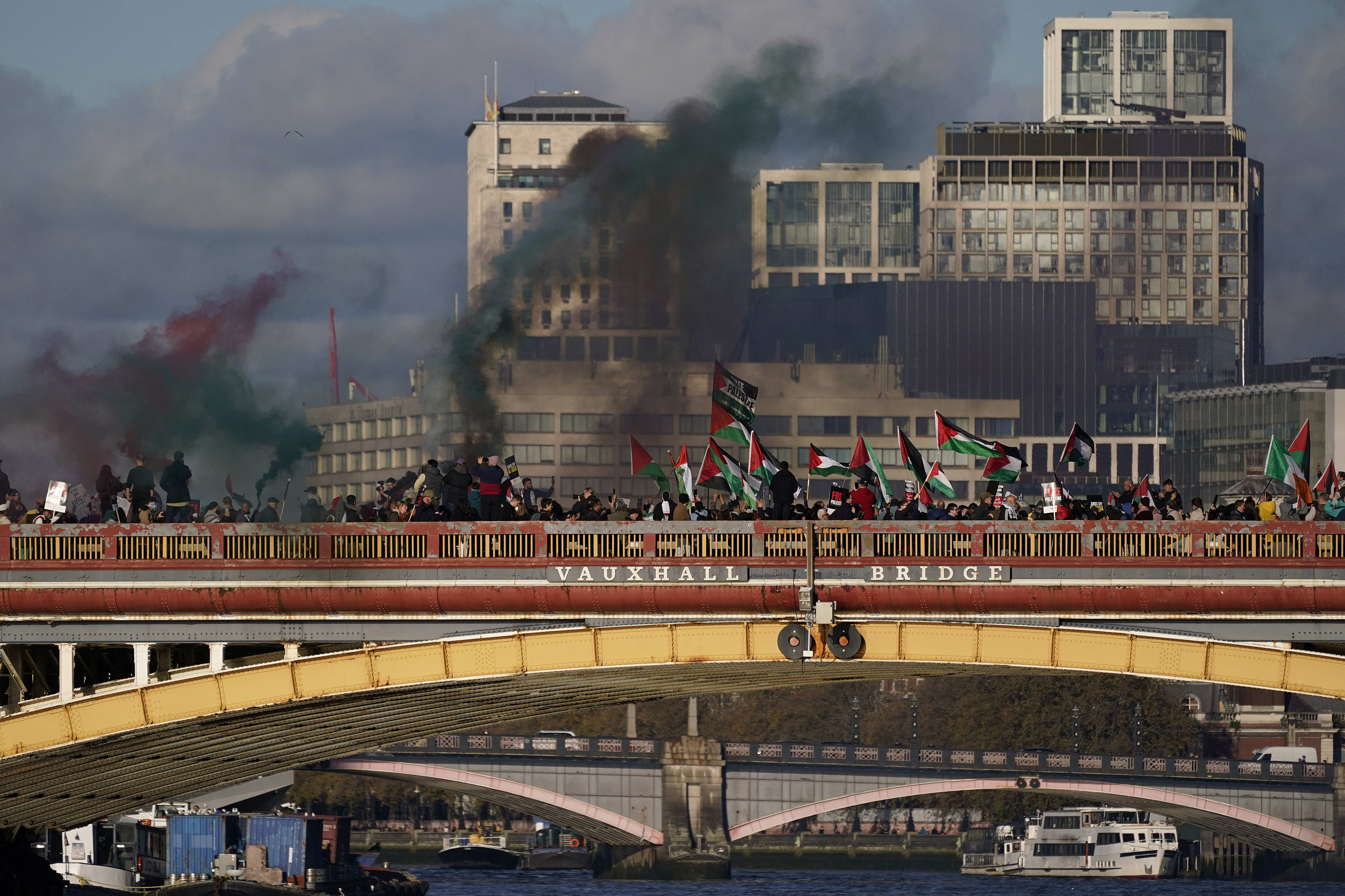 Protesters wave flags in London