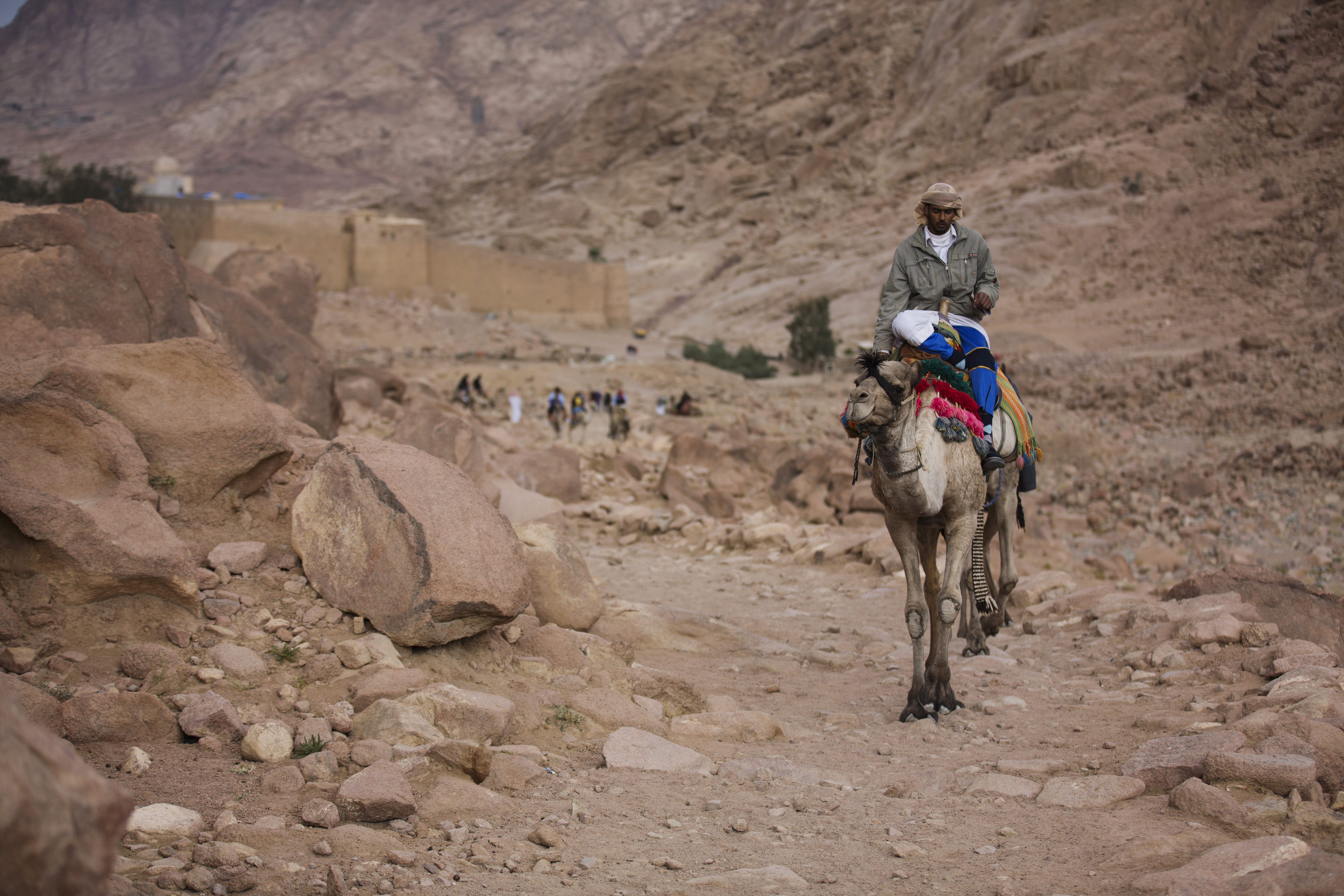a Bedouin leads camels to a rest stop on a trail