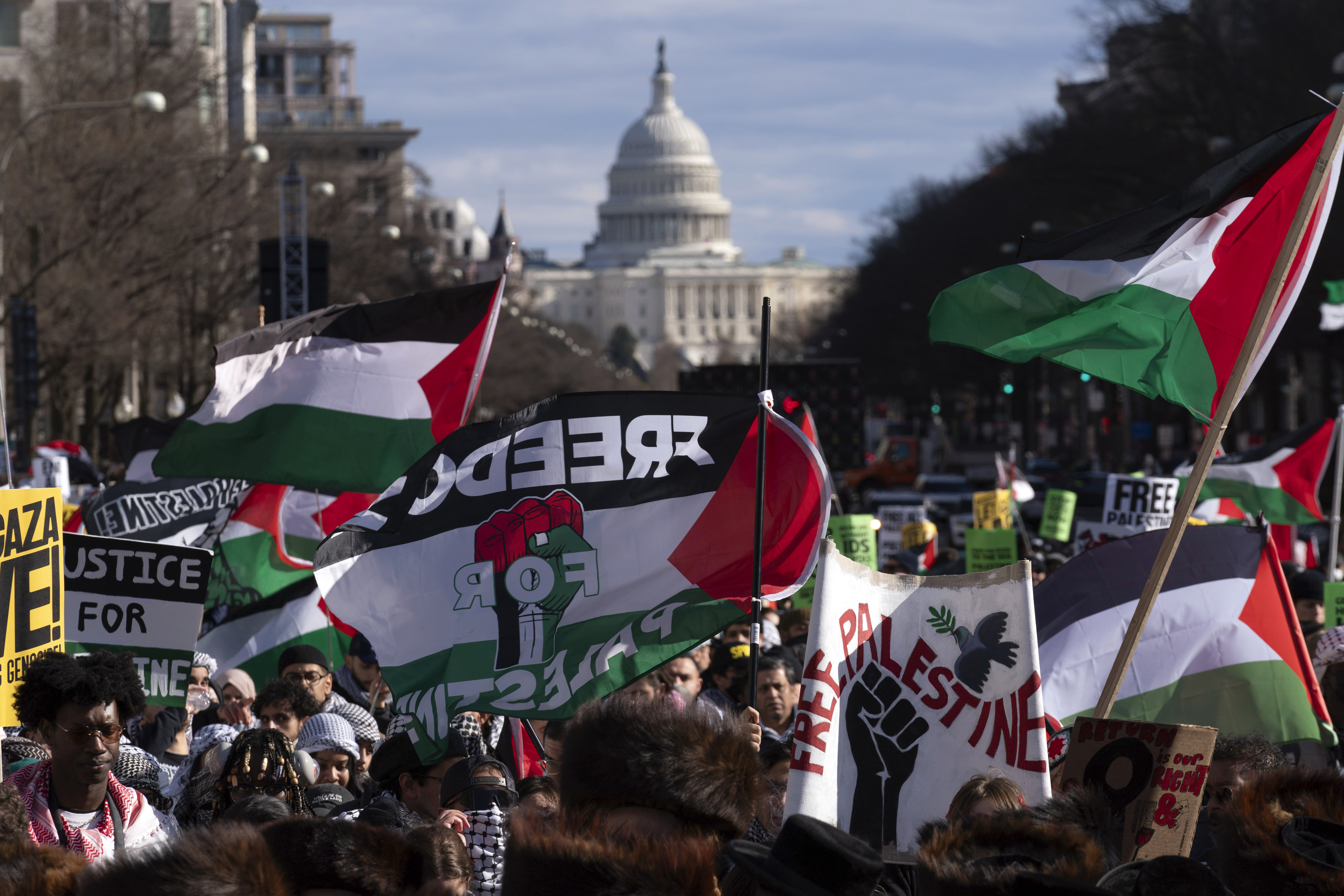 Protesters rally for Gaza in Washington, DC, waving Palestinian flags with the US Capitol in the background
