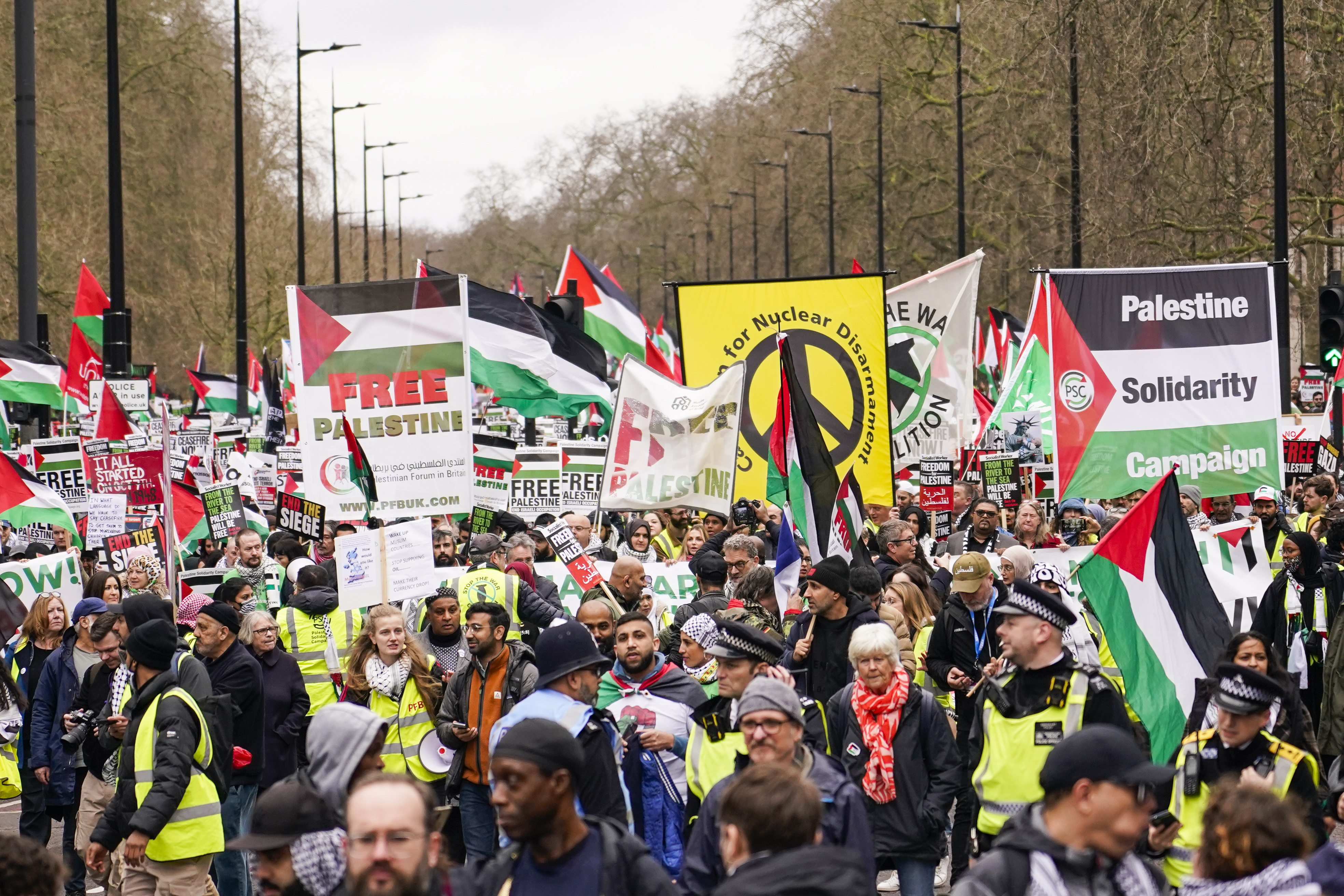 Protesters hold up flags and placards during a demonstration in support of Palestinian people in Gaza