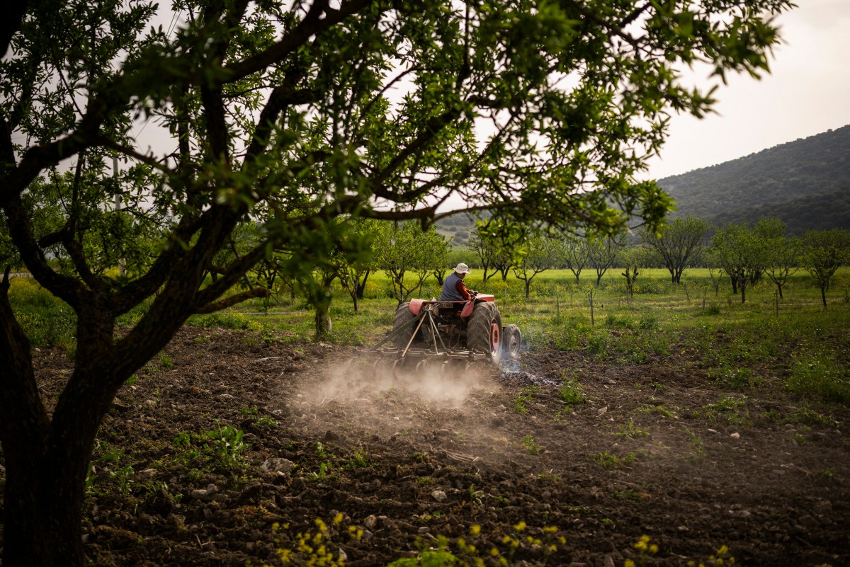 Greek valley that became a lake stirs drought debate