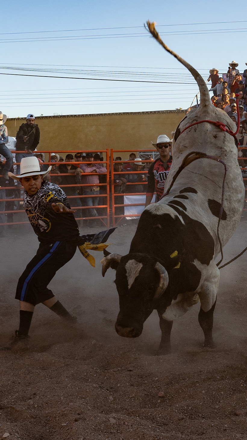 A bullfighter tangles with a bucking bull in a rodeo ring.