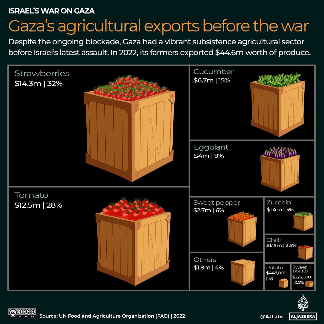 INTERACTIVE Gaza agricultural exports-1719404588