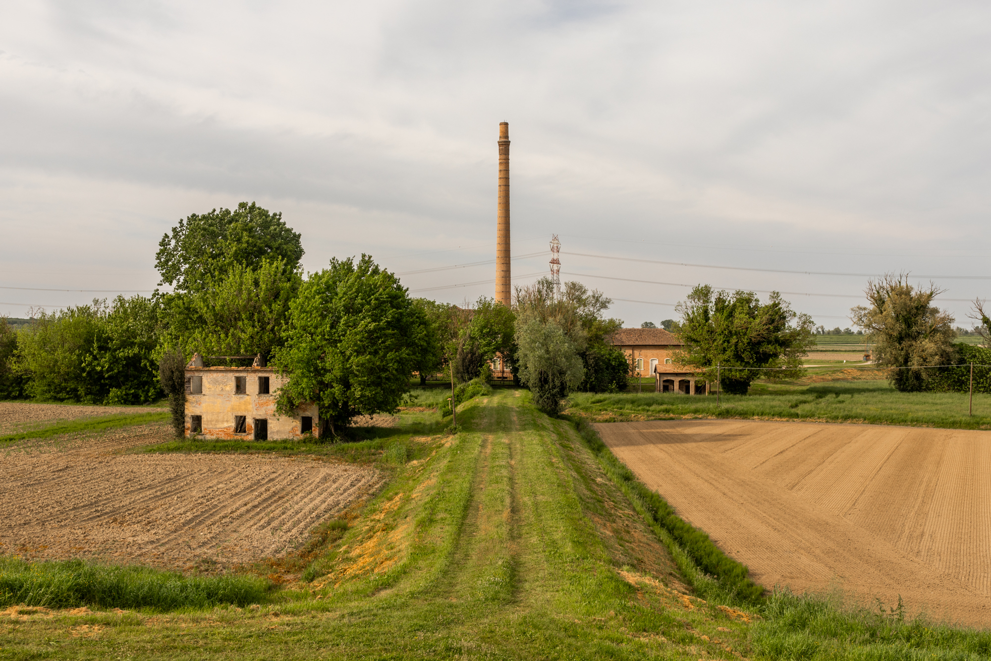 Rice fields in Taglio di Po, Rovigo, Veneto. In the background is the chimney of the Ca' Vendramin water pump. Approximately 70 percent of the Po Delta region is agricultural - mainly represented by arable land