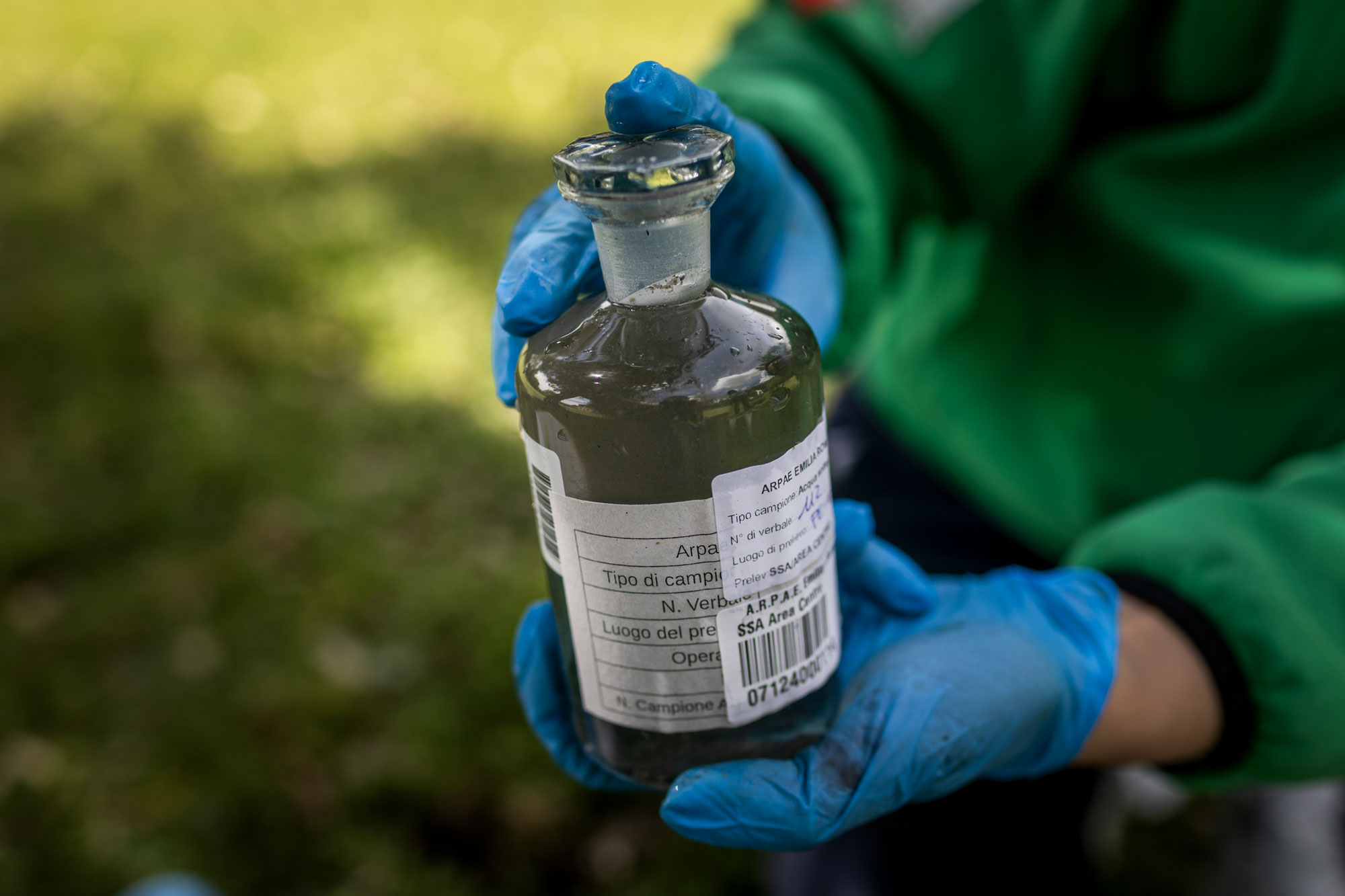 A sample of saltwater taken 5 metres [about 16ft] below the surface of the ground in the protected natural reserve of Bosco Mesola in Ferrara, Emilia-Romagna