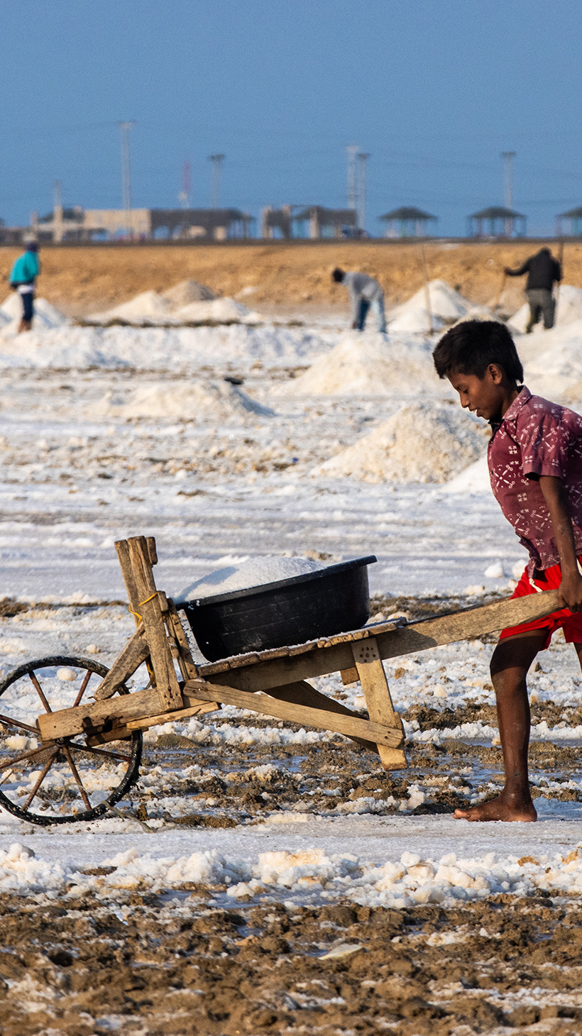 A boy pushes a wooden cart across a salt field.