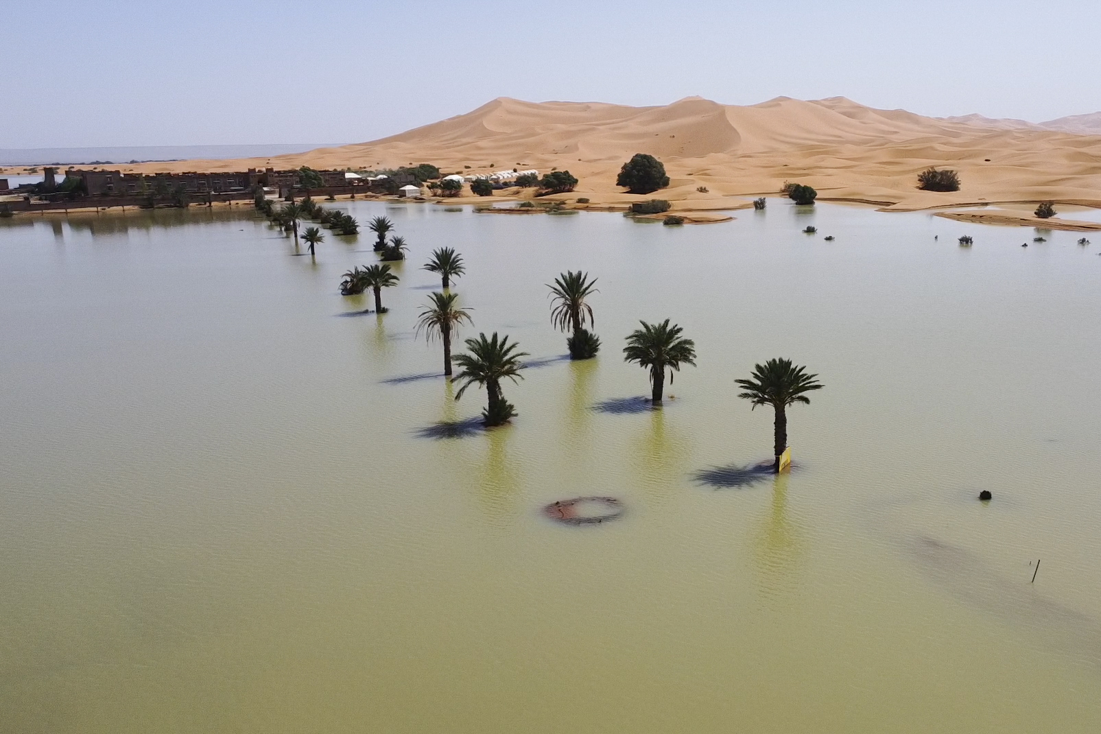 Palm trees are flooded in a lake caused by heavy rainfall in the desert town of Merzouga