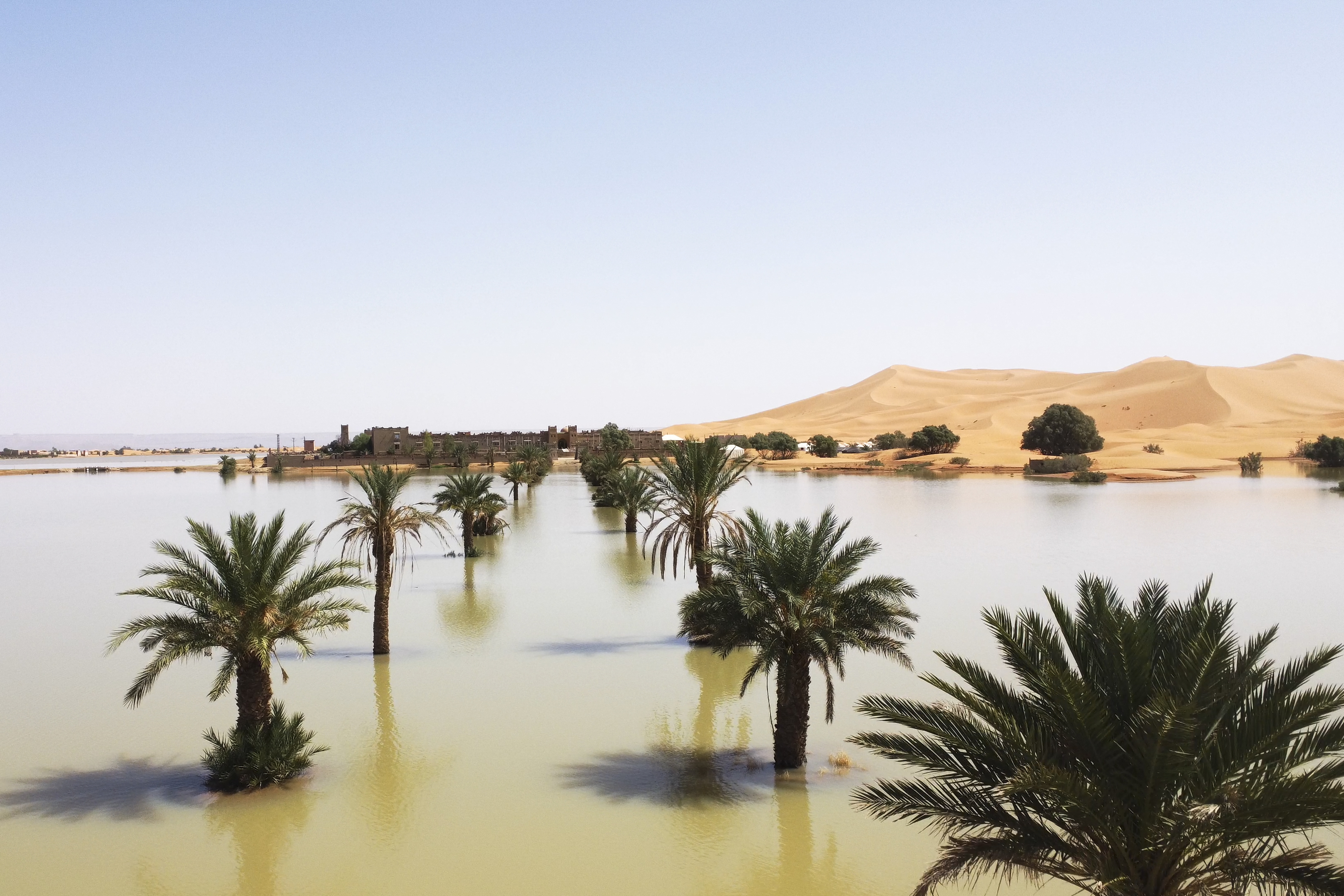 Palm trees are flooded in a lake caused by heavy rainfall in the desert town of Merzouga