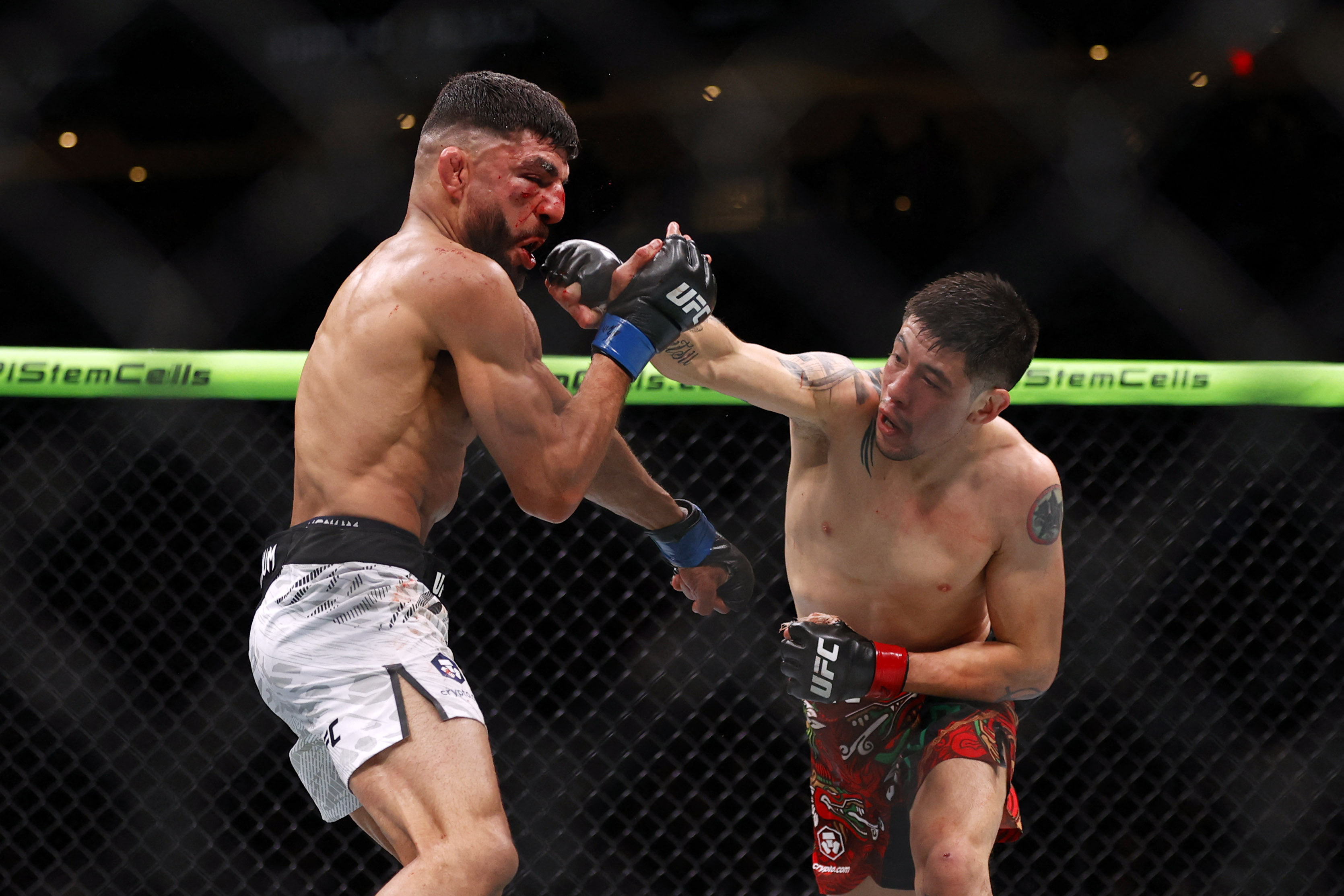 Brandon Moreno (red gloves) fights Amir Albazi (blue gloves)