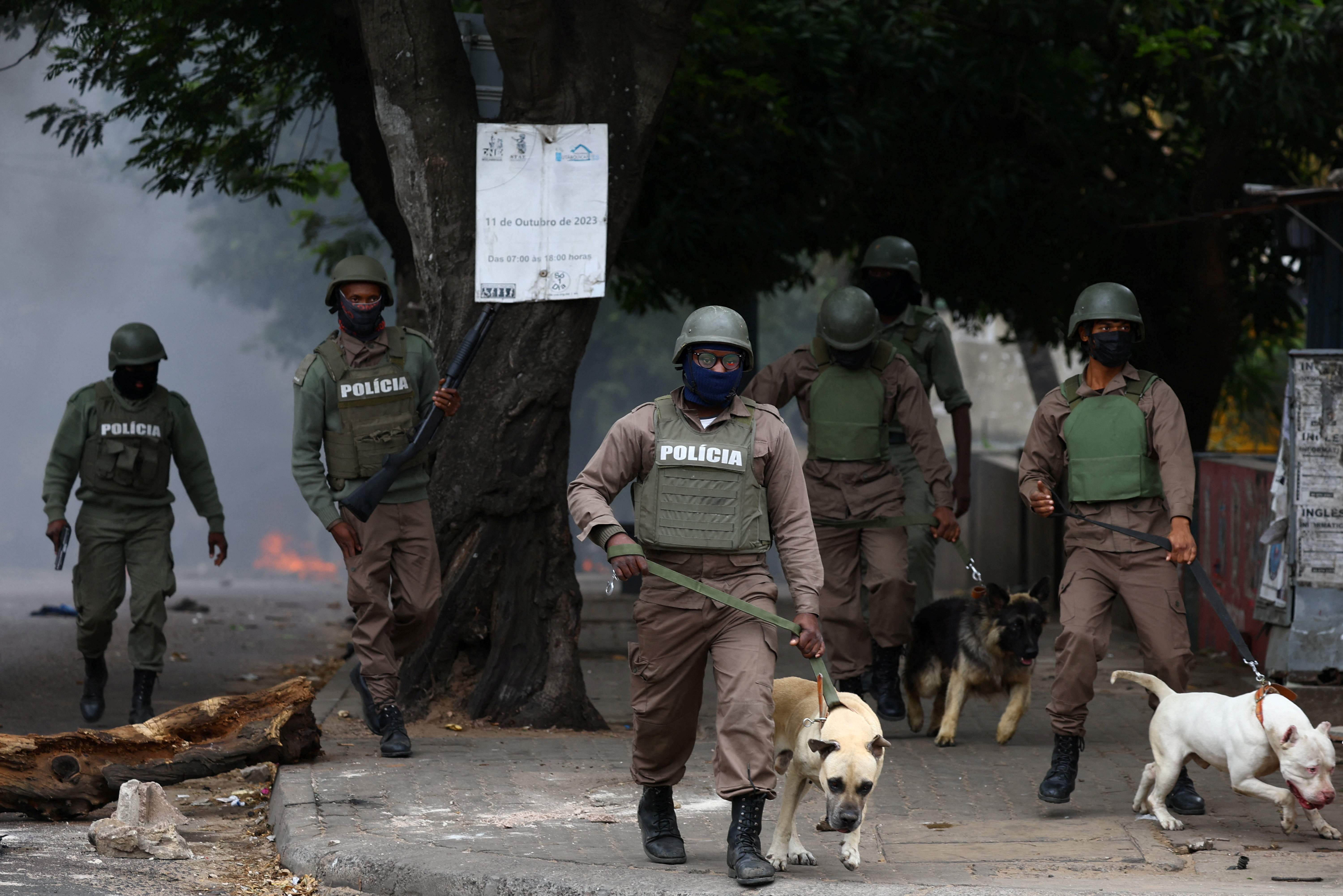 Mozambique protests