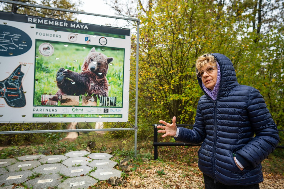 Romania sanctuary seeks to save bears as hunting resumes