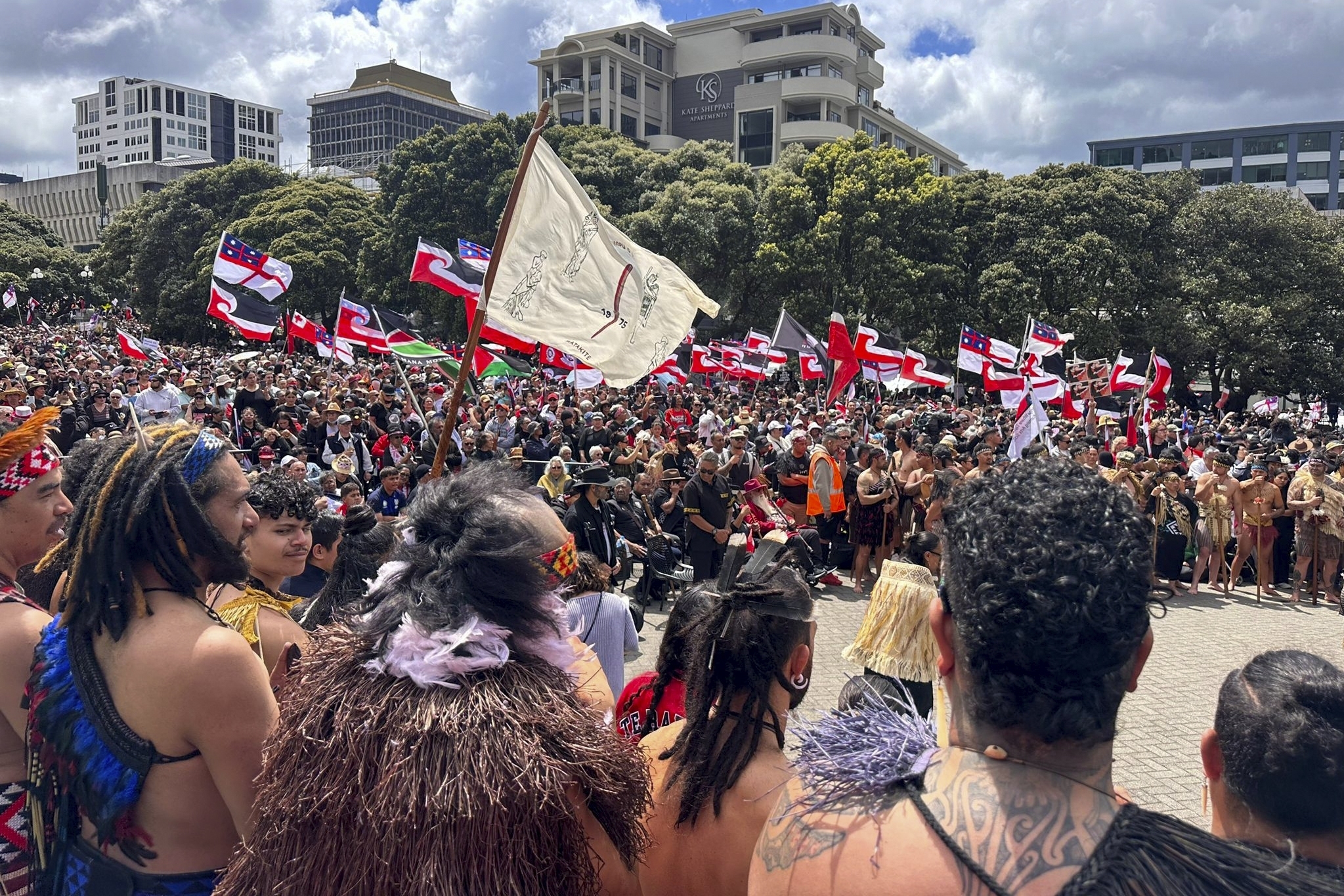 New Zealand Treaty Law Protest