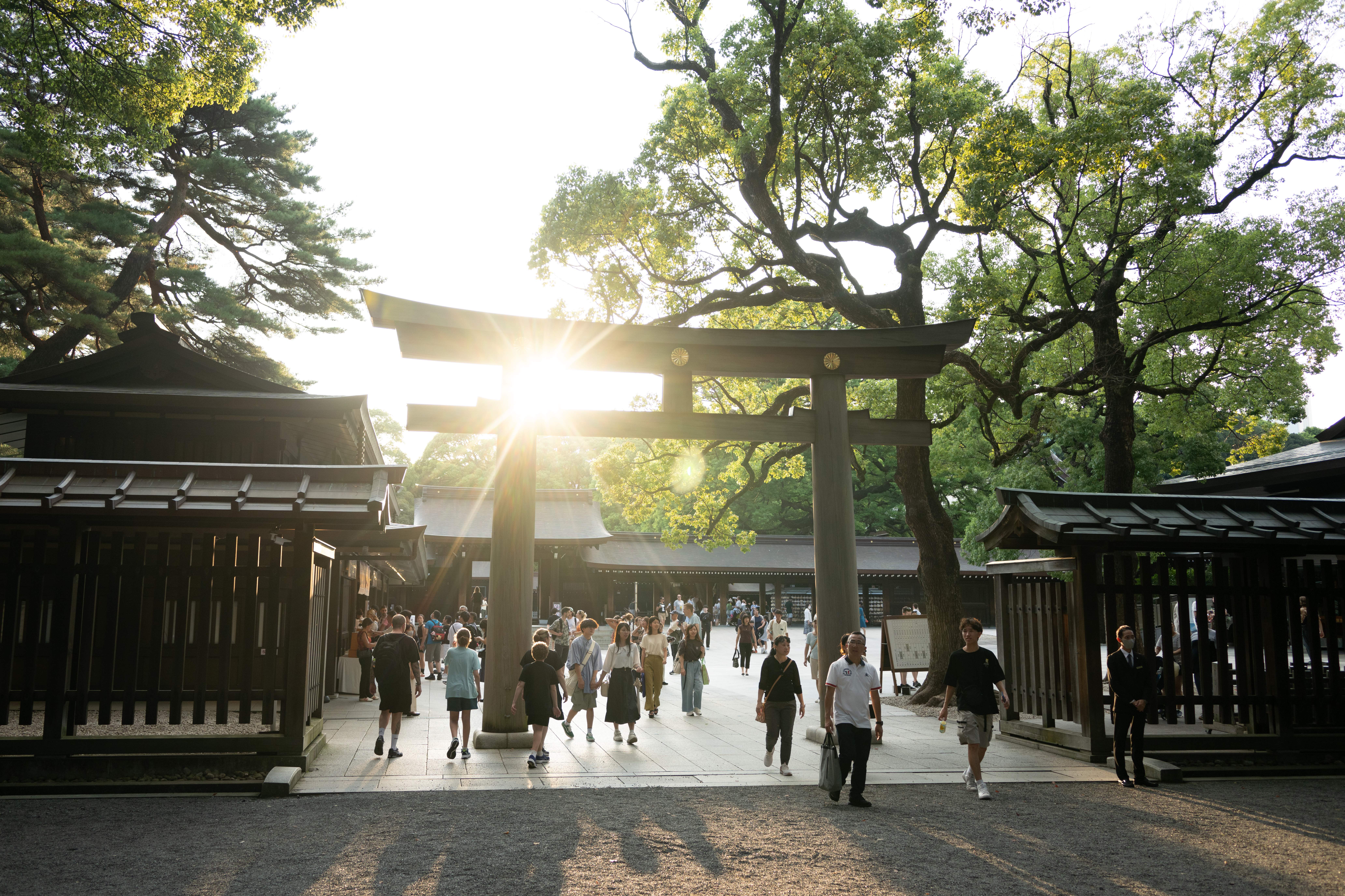 07 September 2024, Japan, Tokio: Visitors to the Meiji Shrine in the Shibuya district. Photo: Sebastian Kahnert/dpa (Photo by Sebastian Kahnert/picture alliance via Getty Images)