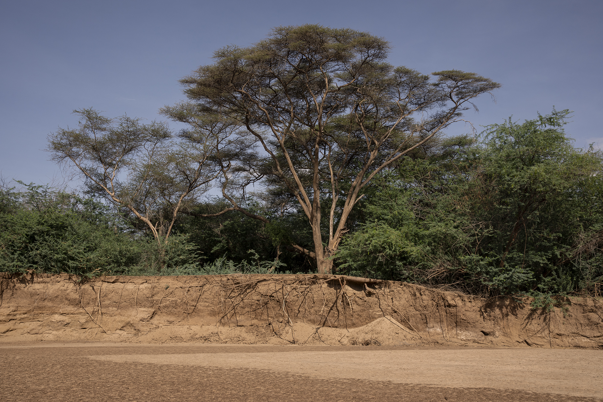 The bank of the dried Kawalase river located in Turkana County, northwest Kenya on October 16, 2024. Kenya's rivers are drying up rapidly, with low rainfall and global warming being among the main causes of this phenomenon. [Alessio Paduano/Al Jazeera]
