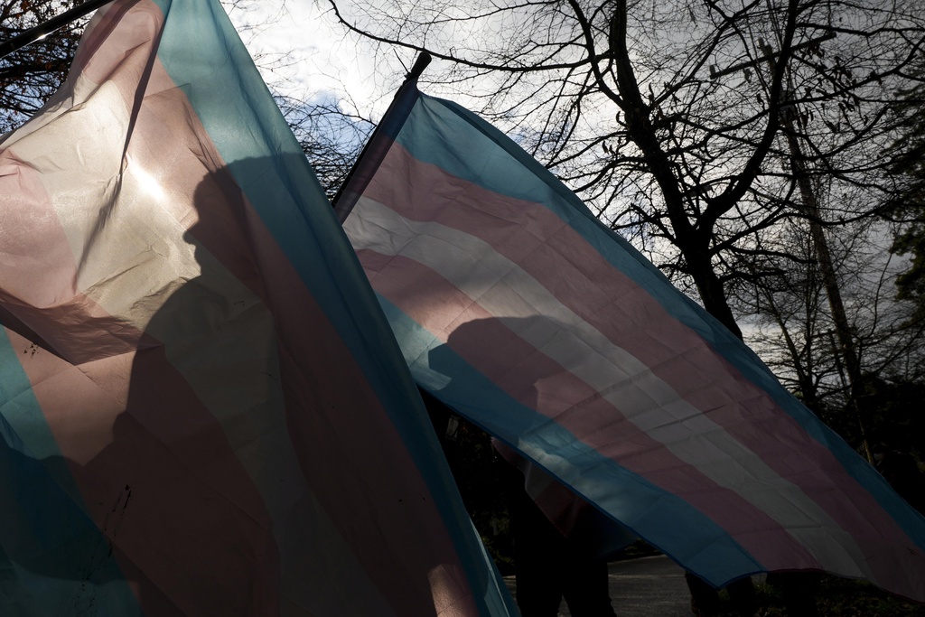 Transgender rights flags at a rally