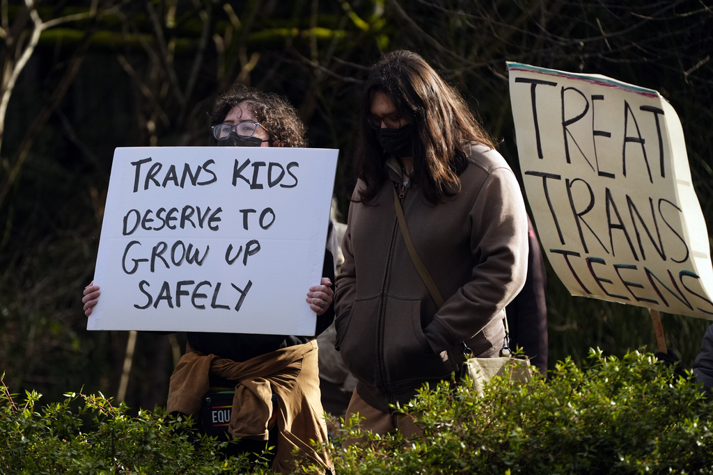 A pro-transgender demonstration