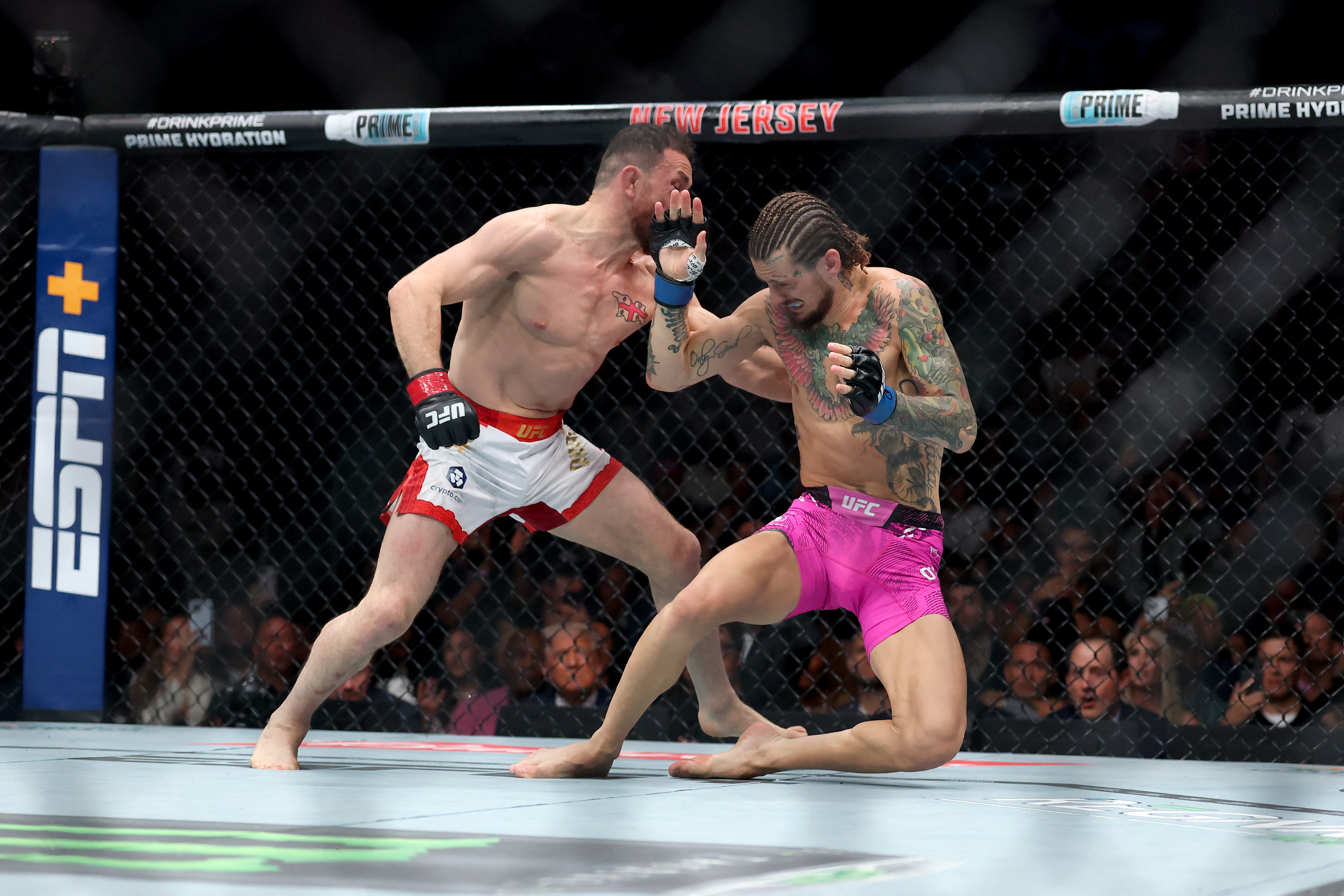 Merab Dvalishvili in action.