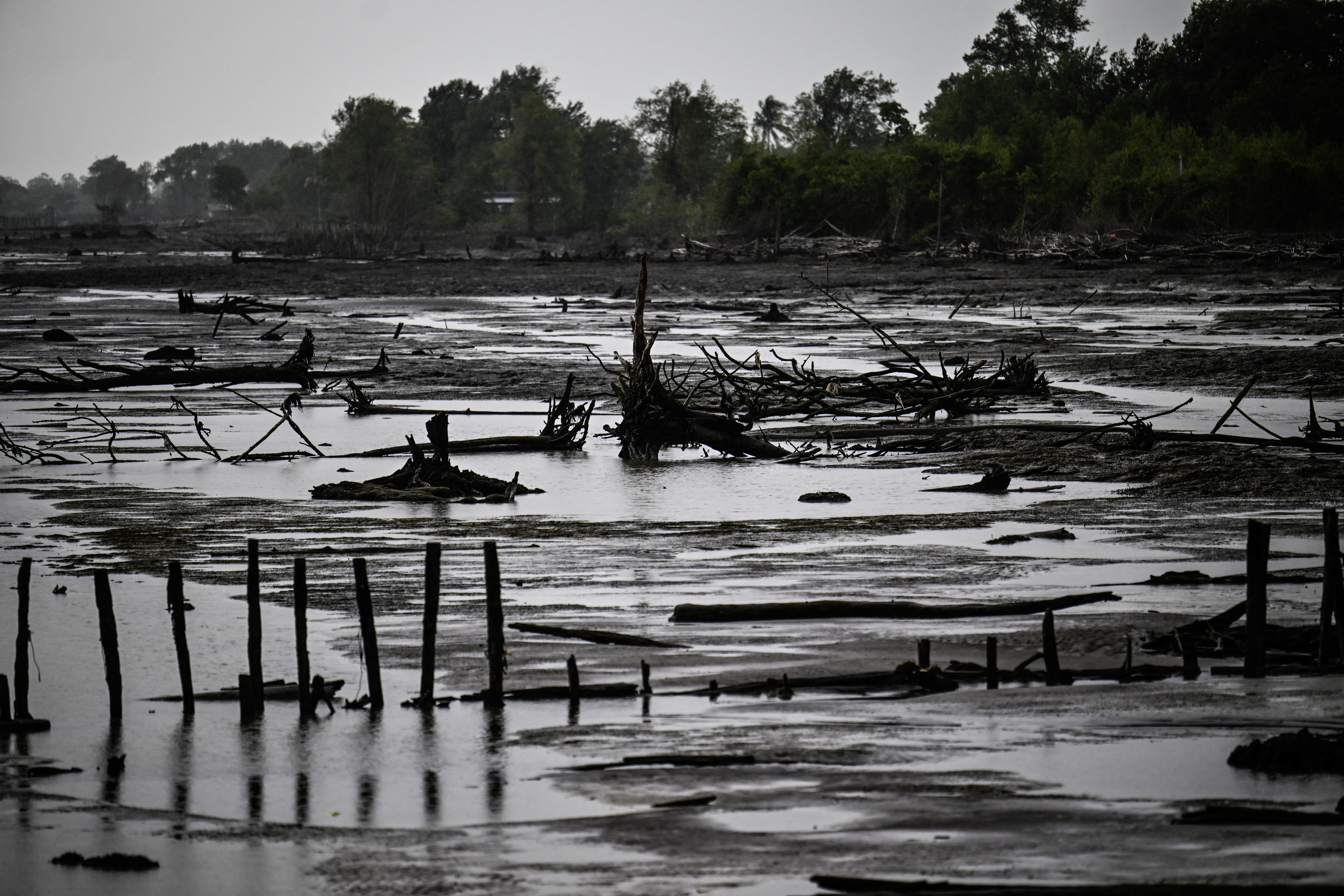 'Every day I see land disappear': Suriname's battle to keep sea at bay