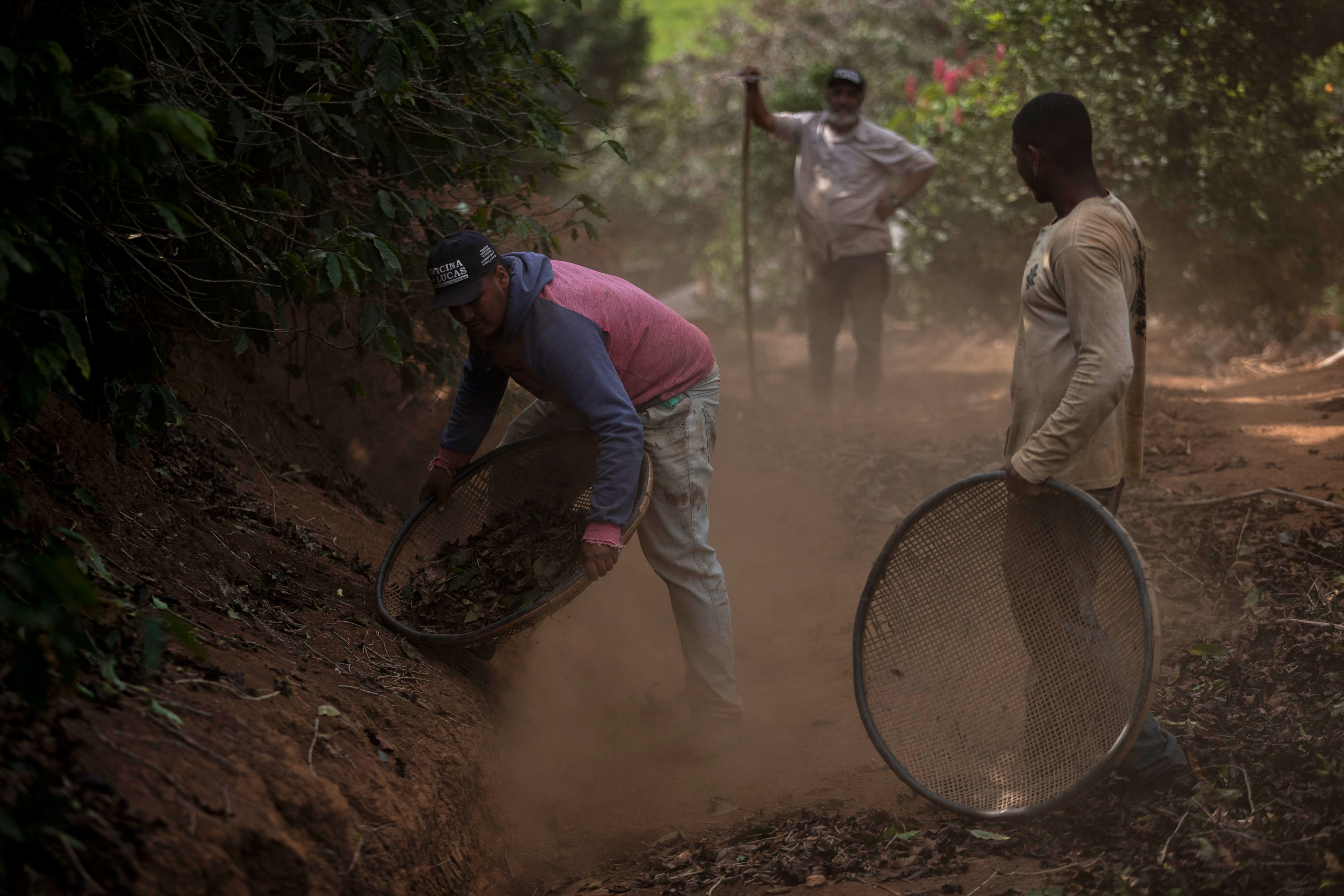 Natan Jose Marssola da Silva, left, sifts coffee beans on his father's farm