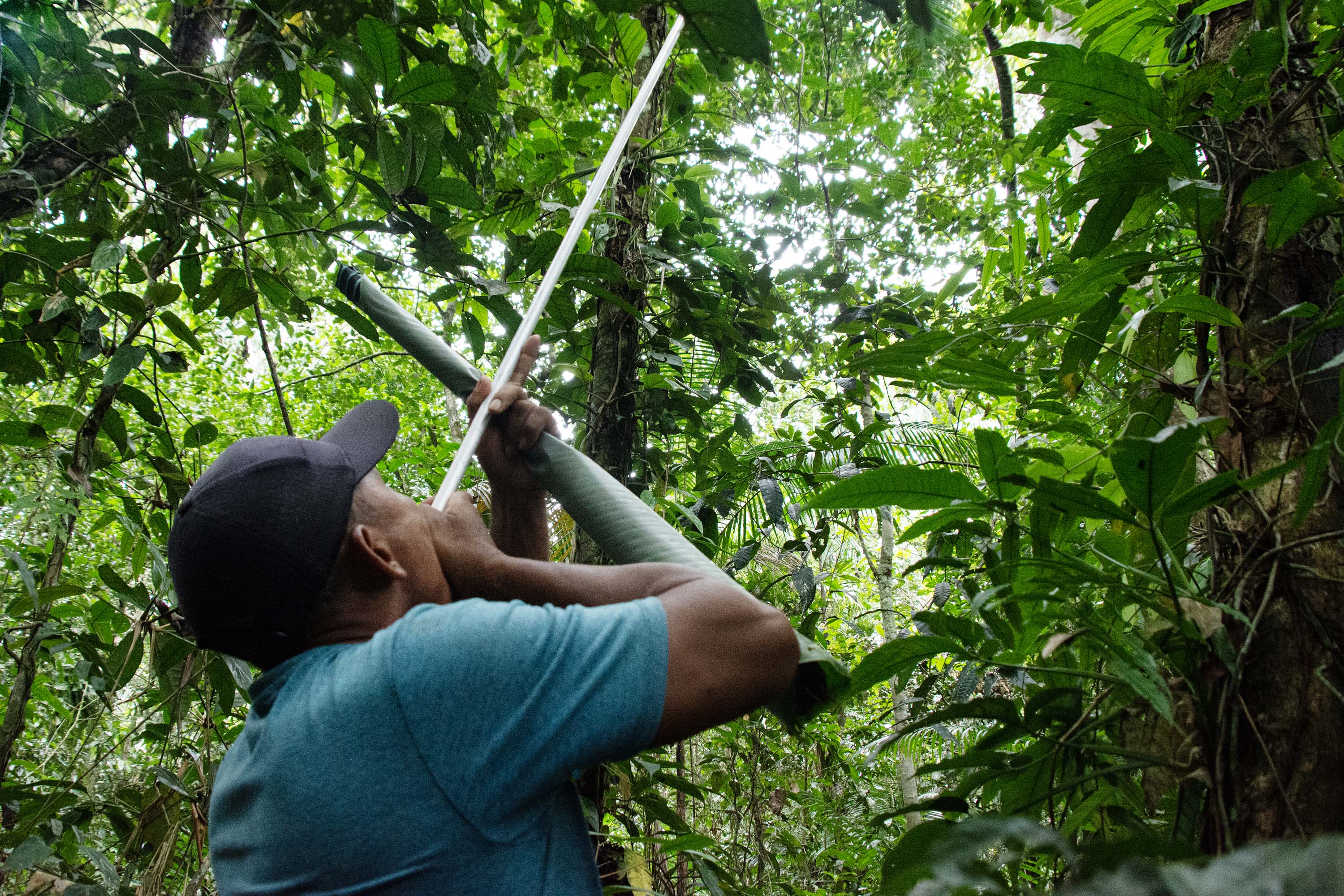 Jedeku Njibe points a blow gun into the canopy of the Amazon.