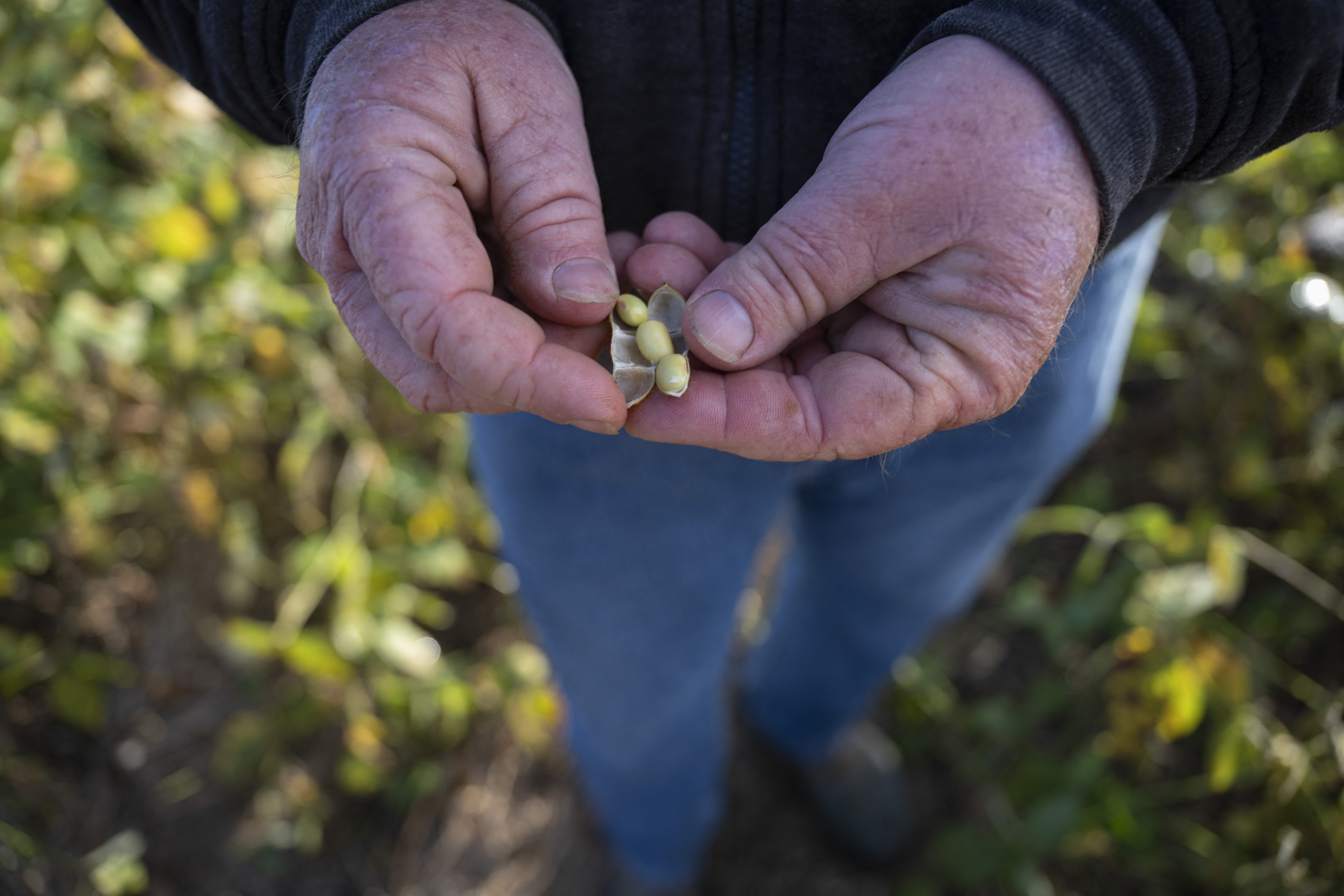 US soybean farmers battered by trade row with China