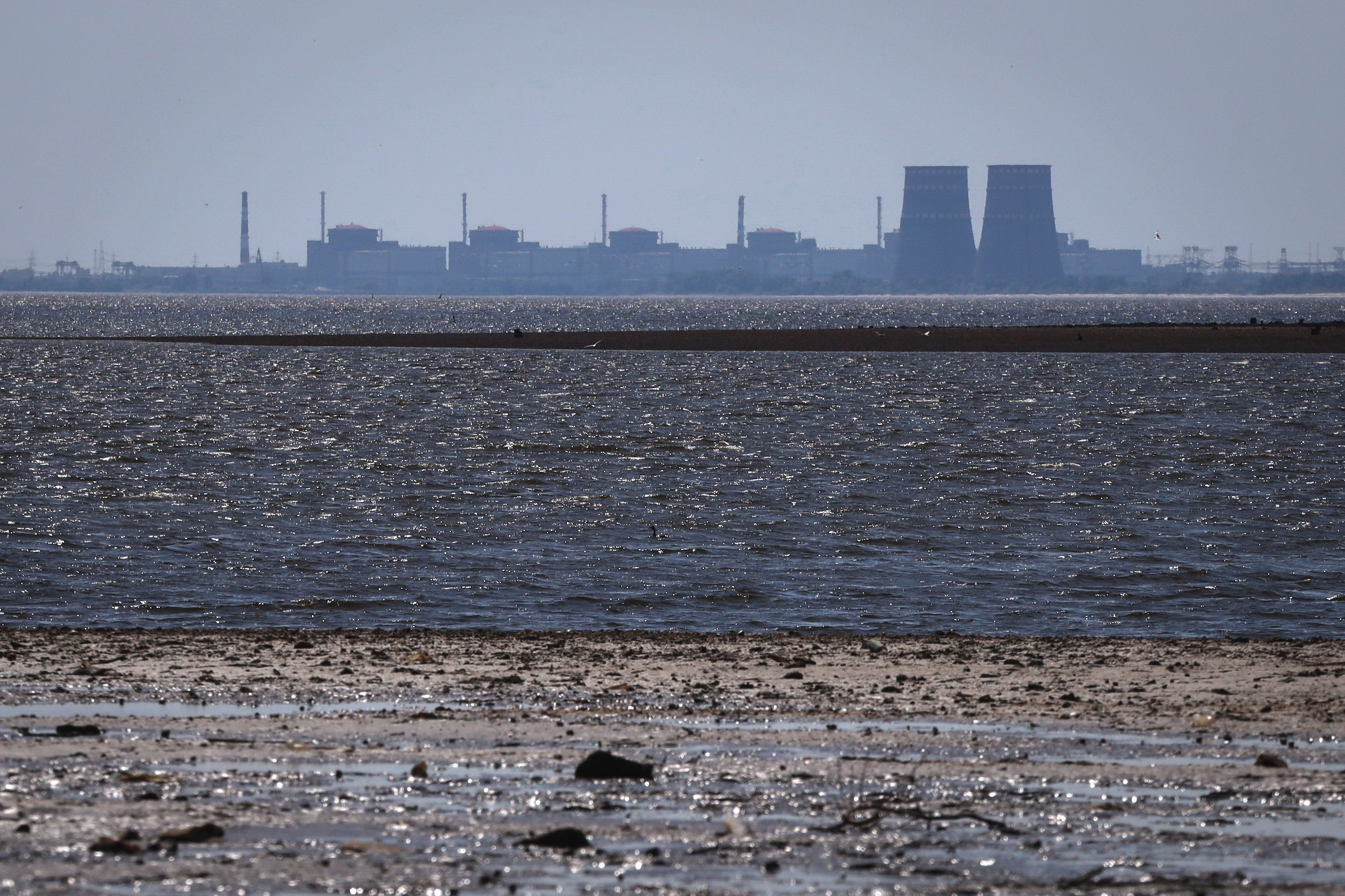 FILE - The Zaporizhzhia nuclear power plant, Europe's largest, stands in the background of the shallow Kakhovka Reservoir after the dam collapse, in Energodar, Russian-occupied Ukraine, June 9, 2023. (AP Photo/Kateryna Klochko, File)