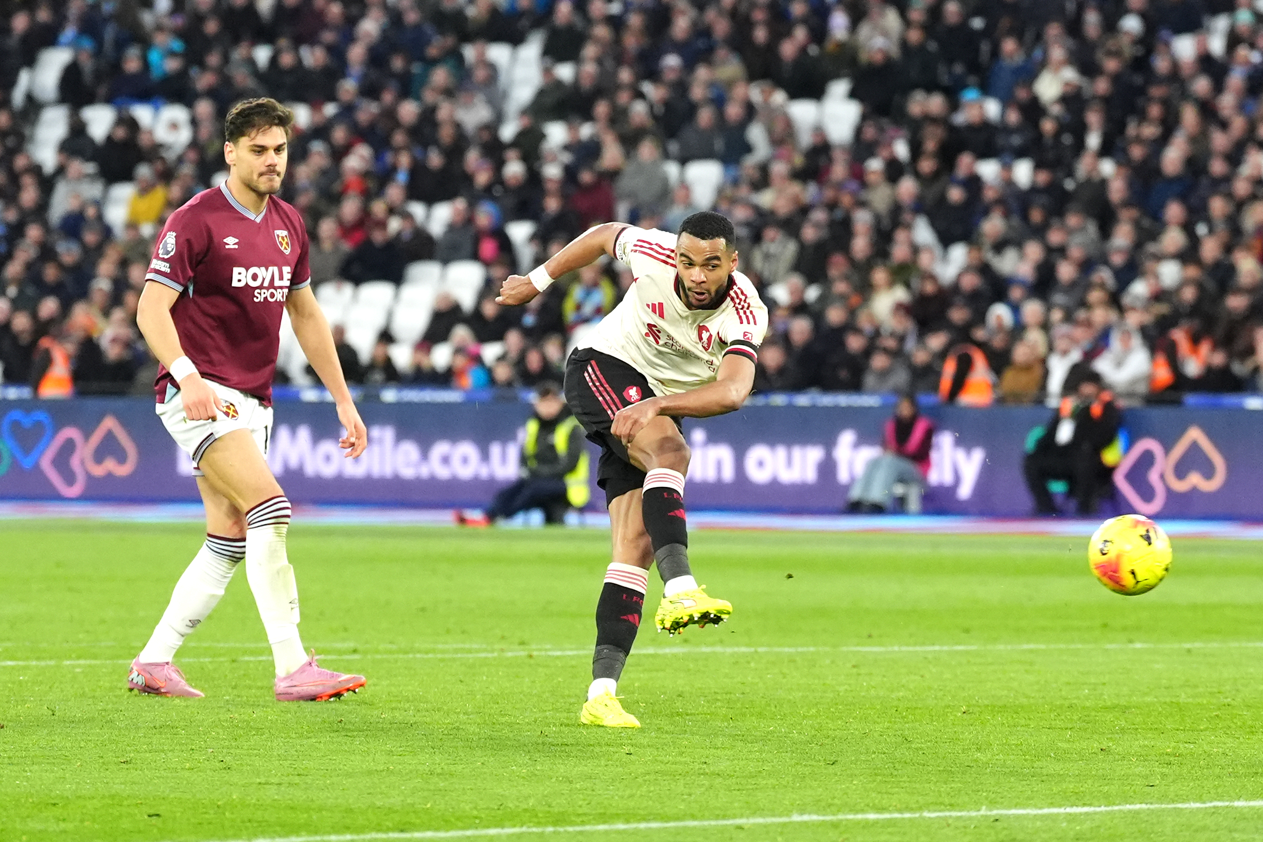 Cody Gakpo in action.