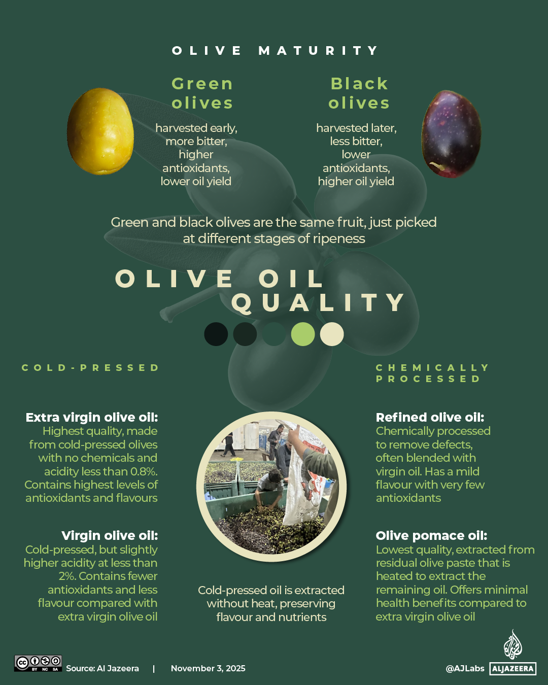 INTERACTIVE - Olive oil production-1762236471