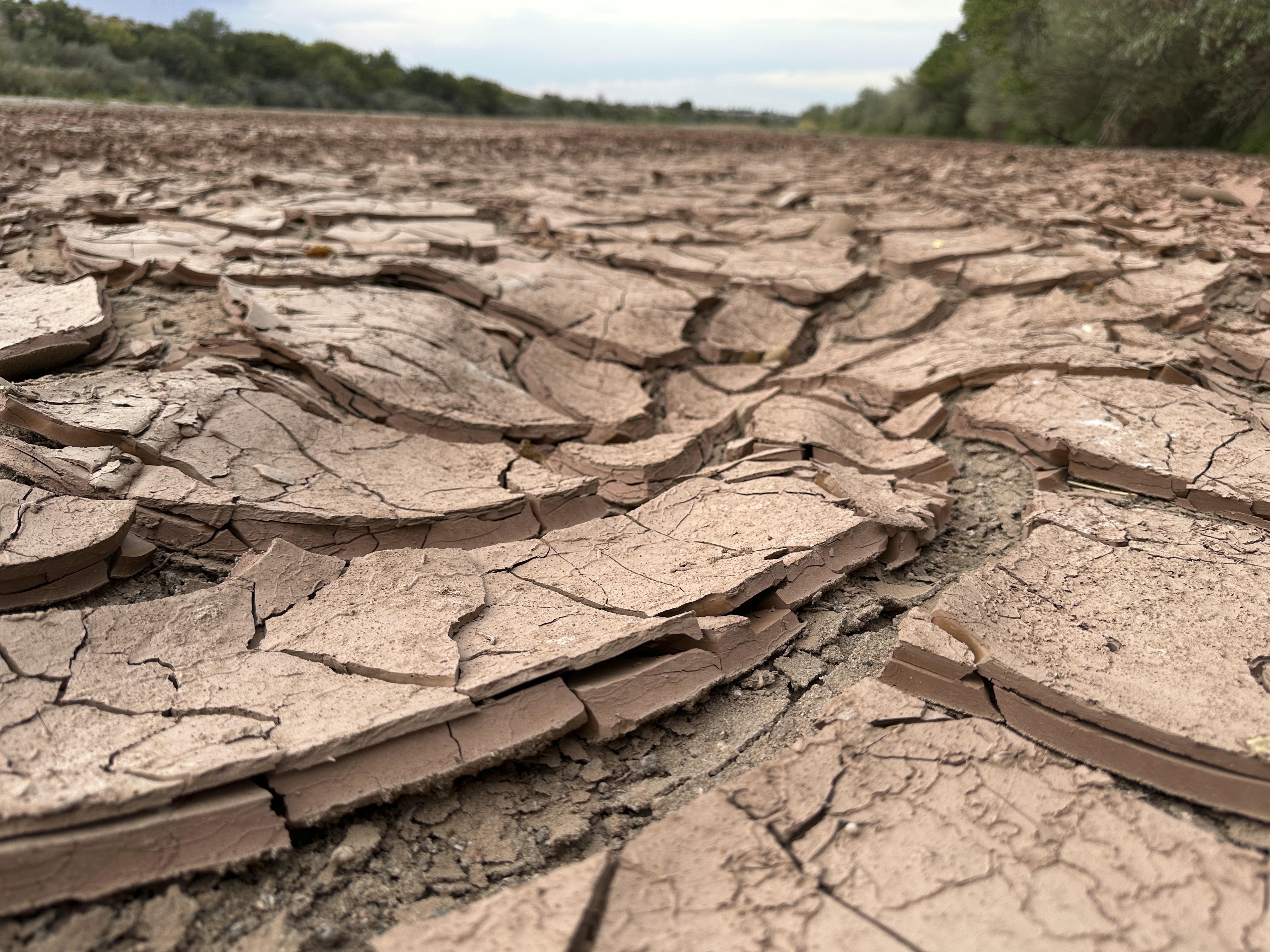 Drought-cracked land in the Rio Grande