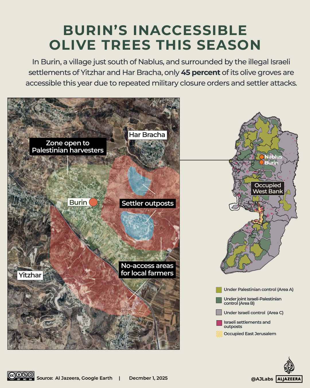 INTERACTIVE - BURIN'S OLIVE TREE SEASON - DEC1, 2025-1764674564