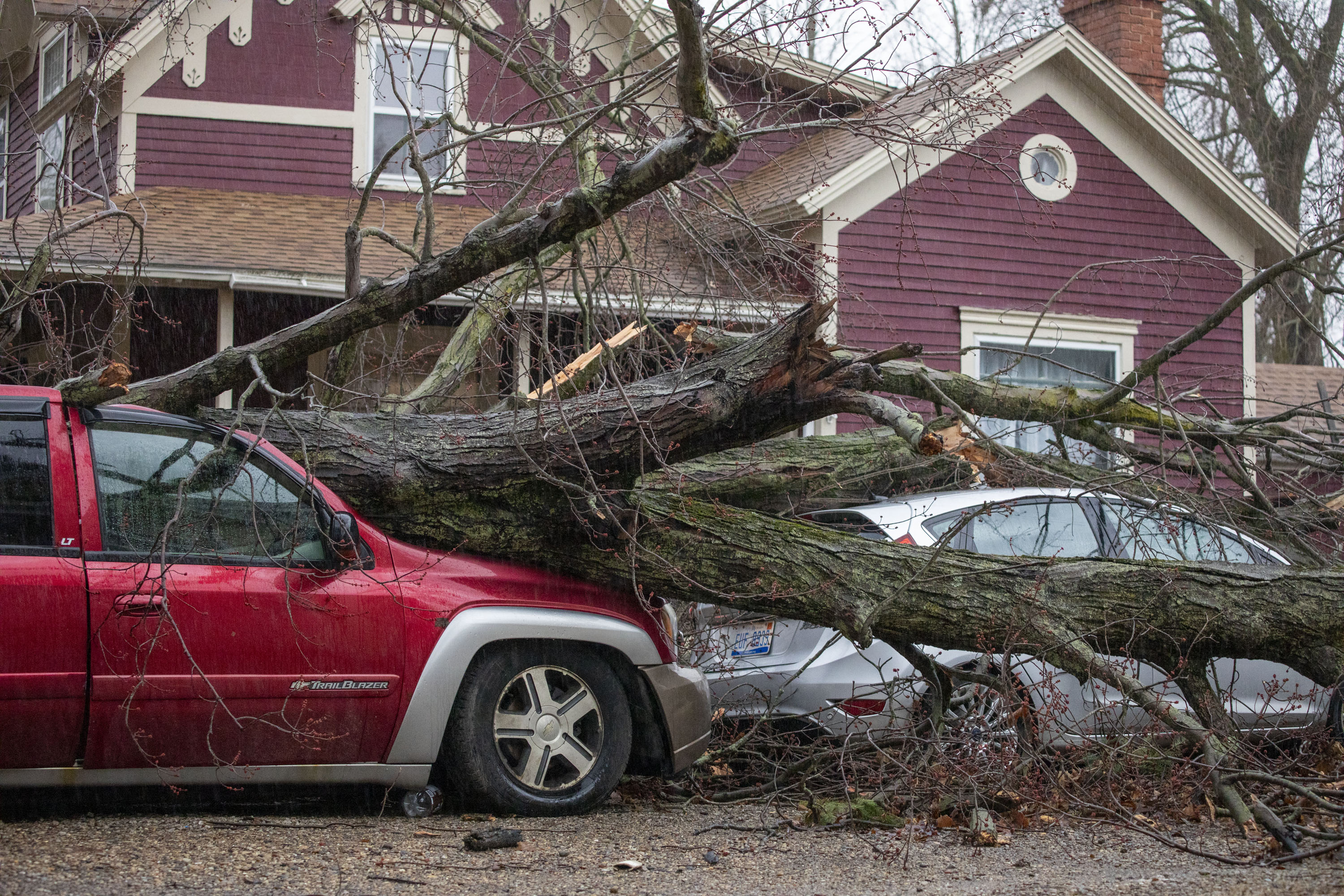 a car is crushed by a tree felled during a tornadoe