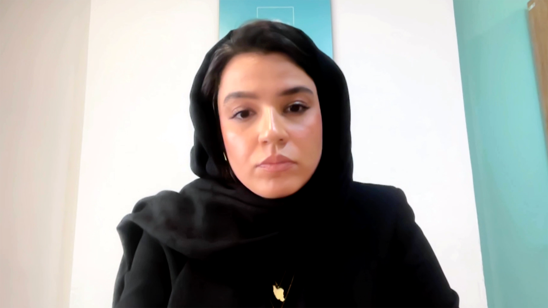 Helyeh Doutaghi on Al Jazeera