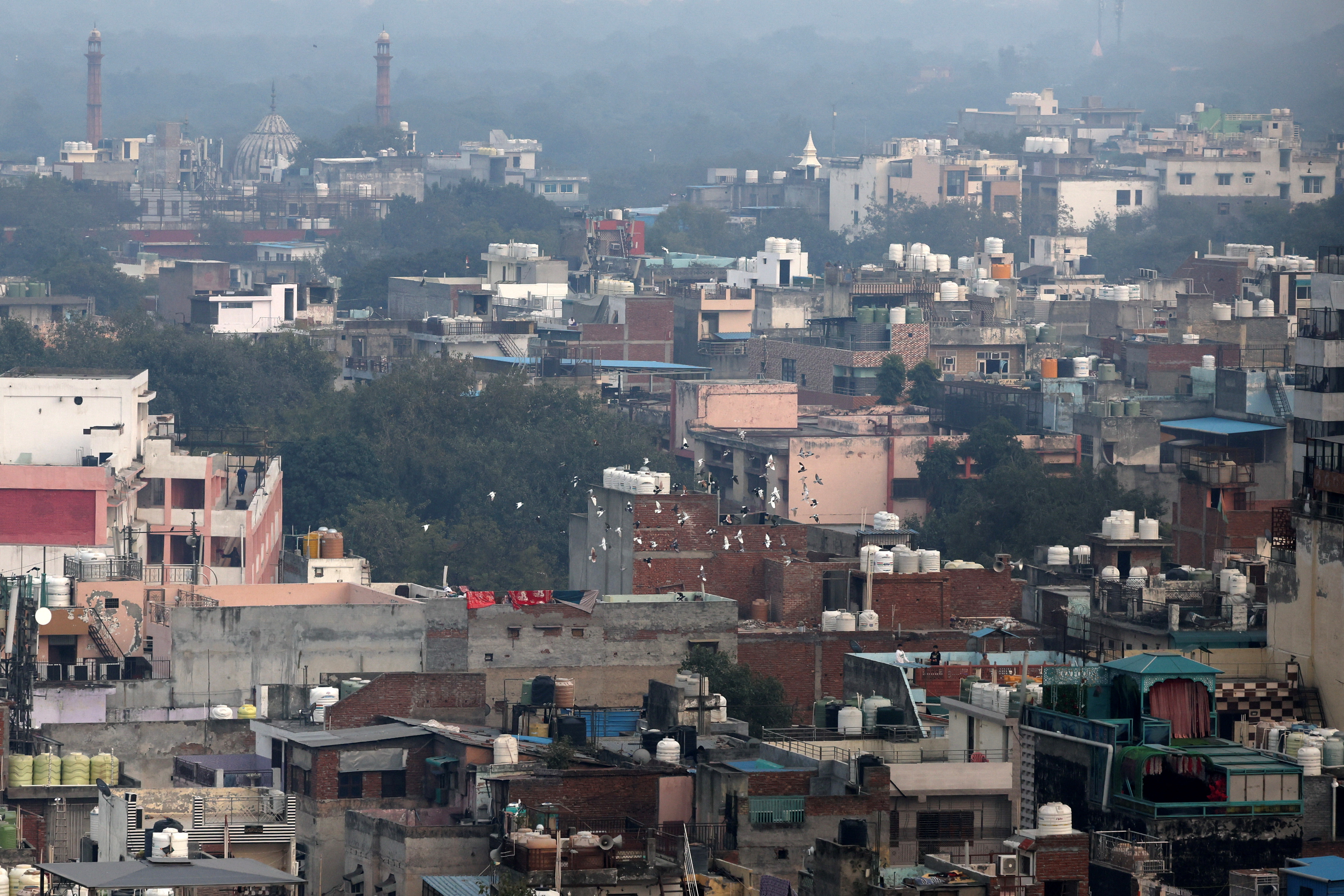 Mughal-era pigeon training survives in heart of India's capital
