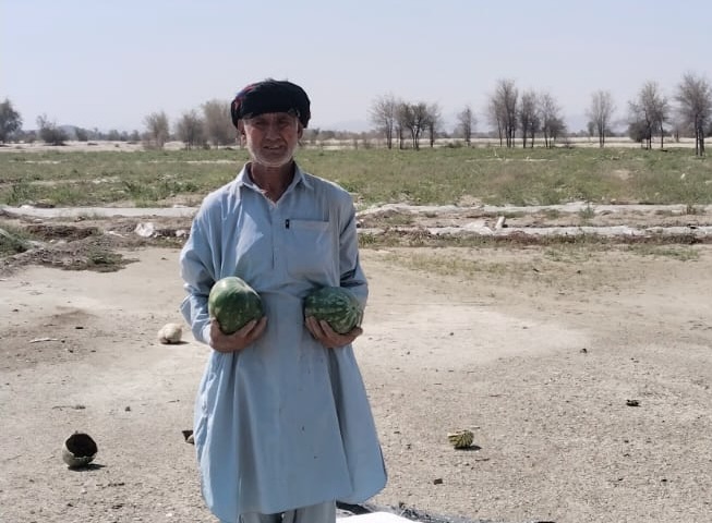Farmer Karim Baksh holds freshly harvested watermelons at his farm in Dasht, Balochistan, Pakistan [Zeeshan Nasir/ Al Jazeera]