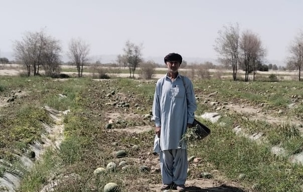 3: Karim Baksh stands in his watermelon field in Dasht, District kech, Balochistan, Pakistan.