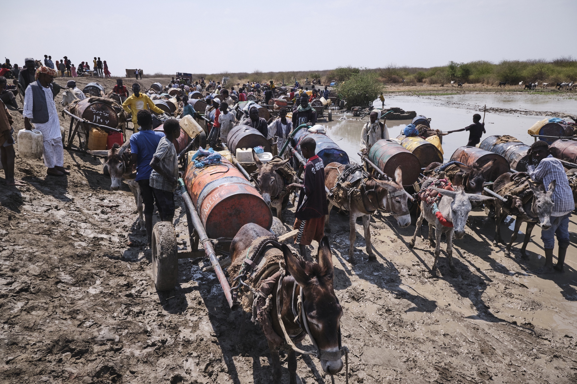 Sudanese refugees wait their turn to get drinking water from a muddy pond.