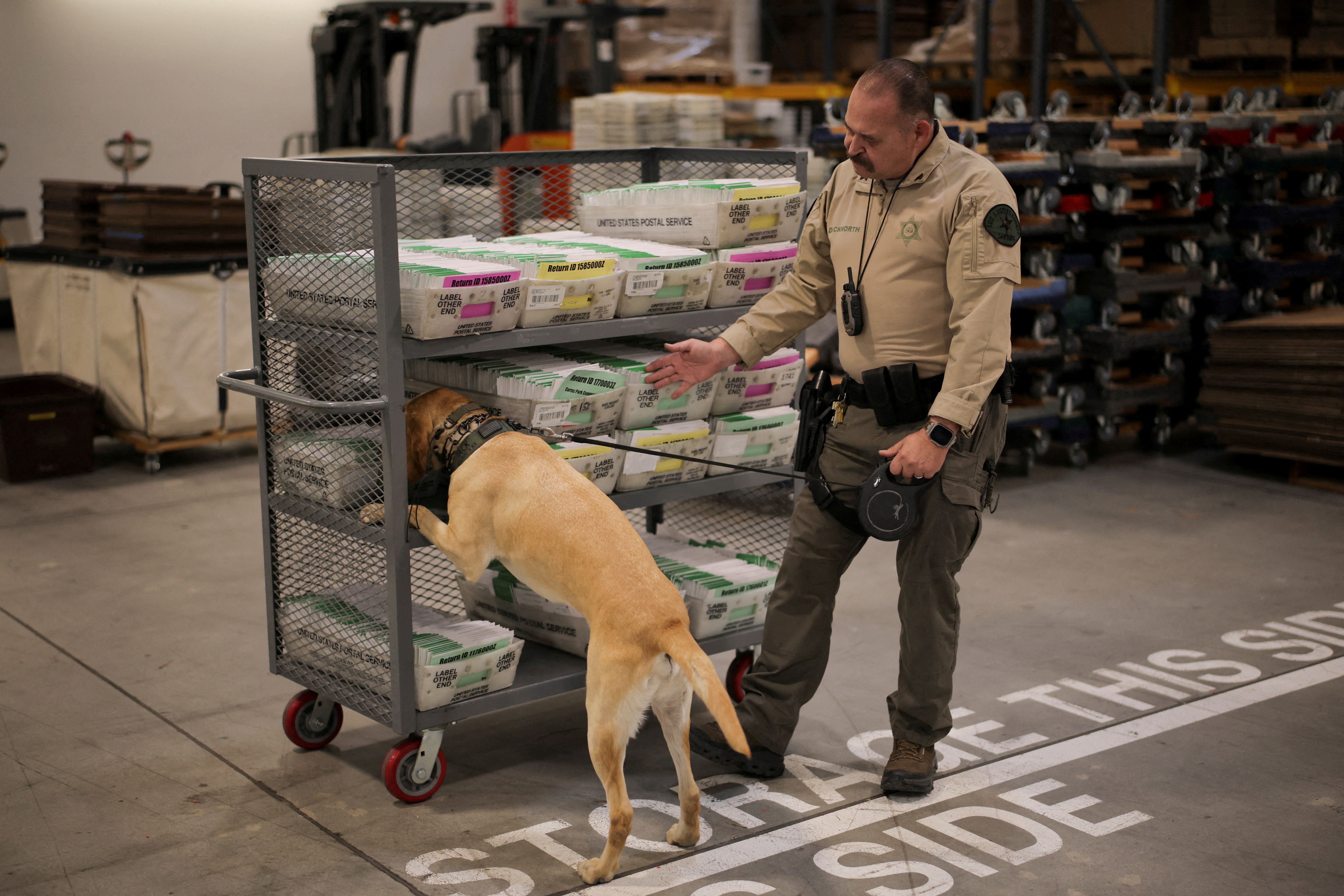 A police dog sniffs ballots for dangerous substances during the California primary election at the Los Angeles County Ballot Processing Center in City of Industry, California, U.S., June 2, 2026. REUTERS/Daniel Cole TPX IMAGES OF THE DAY