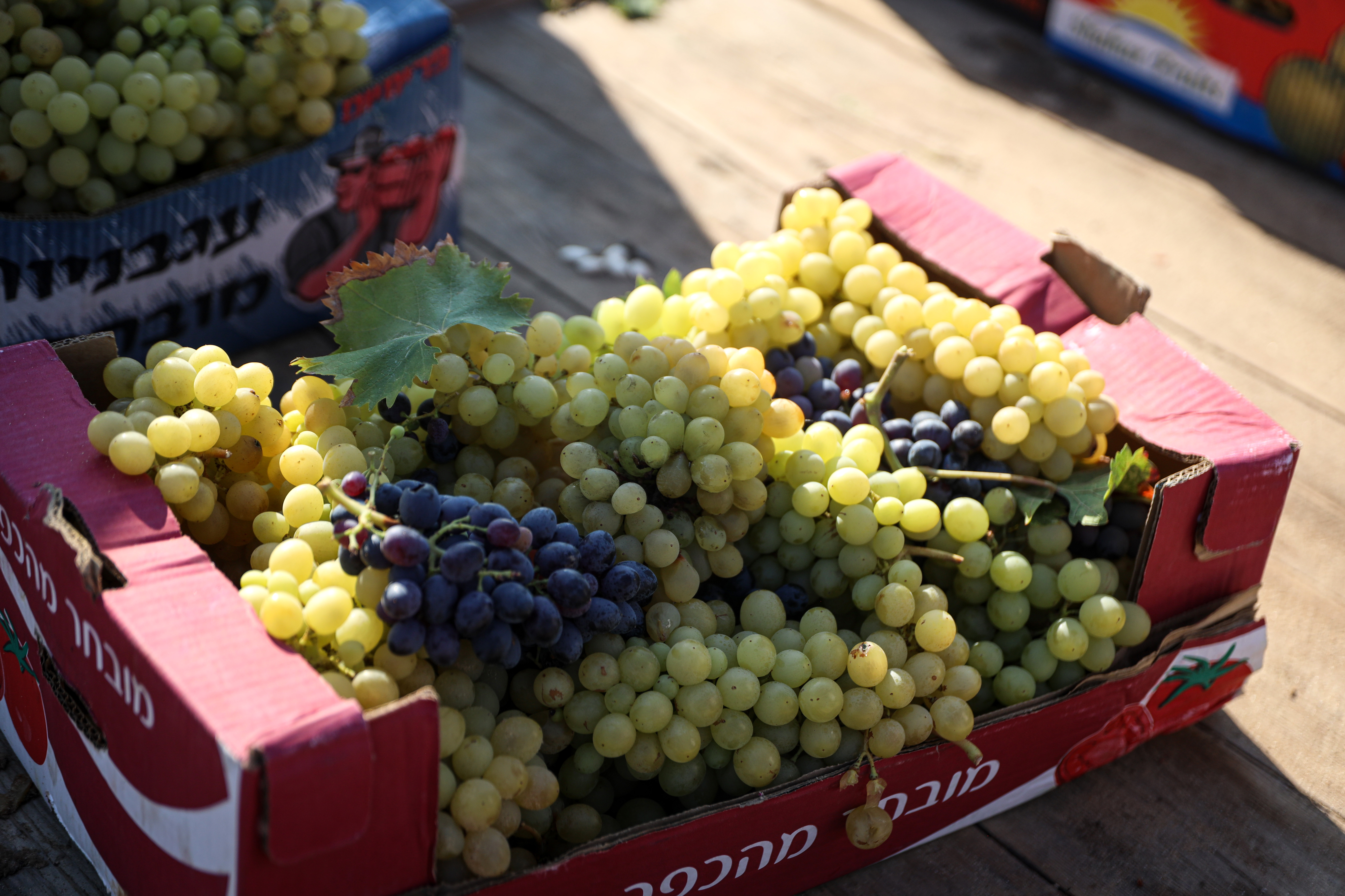Box filled with grapes
