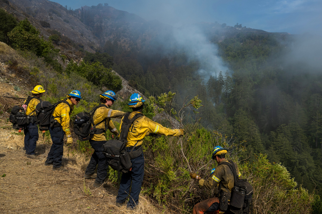 firefighters look on as smoke emerges from a treeline