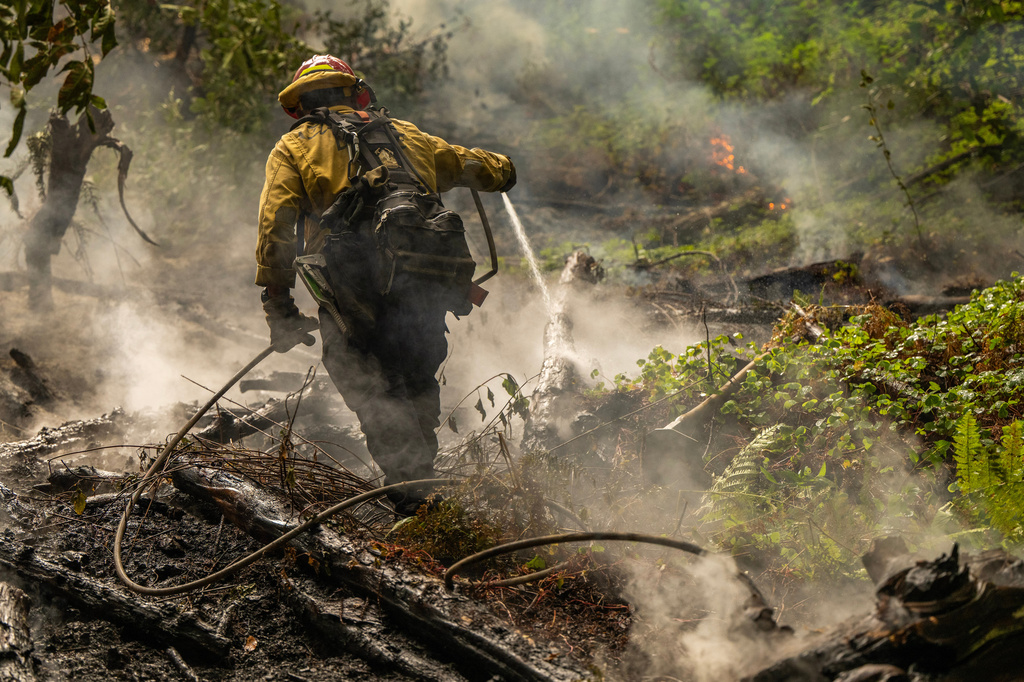 a firefighter uses a hose to extinguish a spot fire