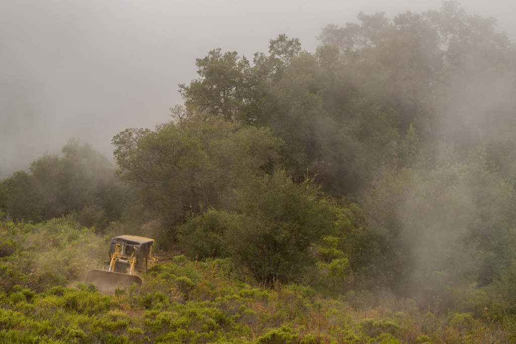 a bulldozer cuts a fire break through vegetation