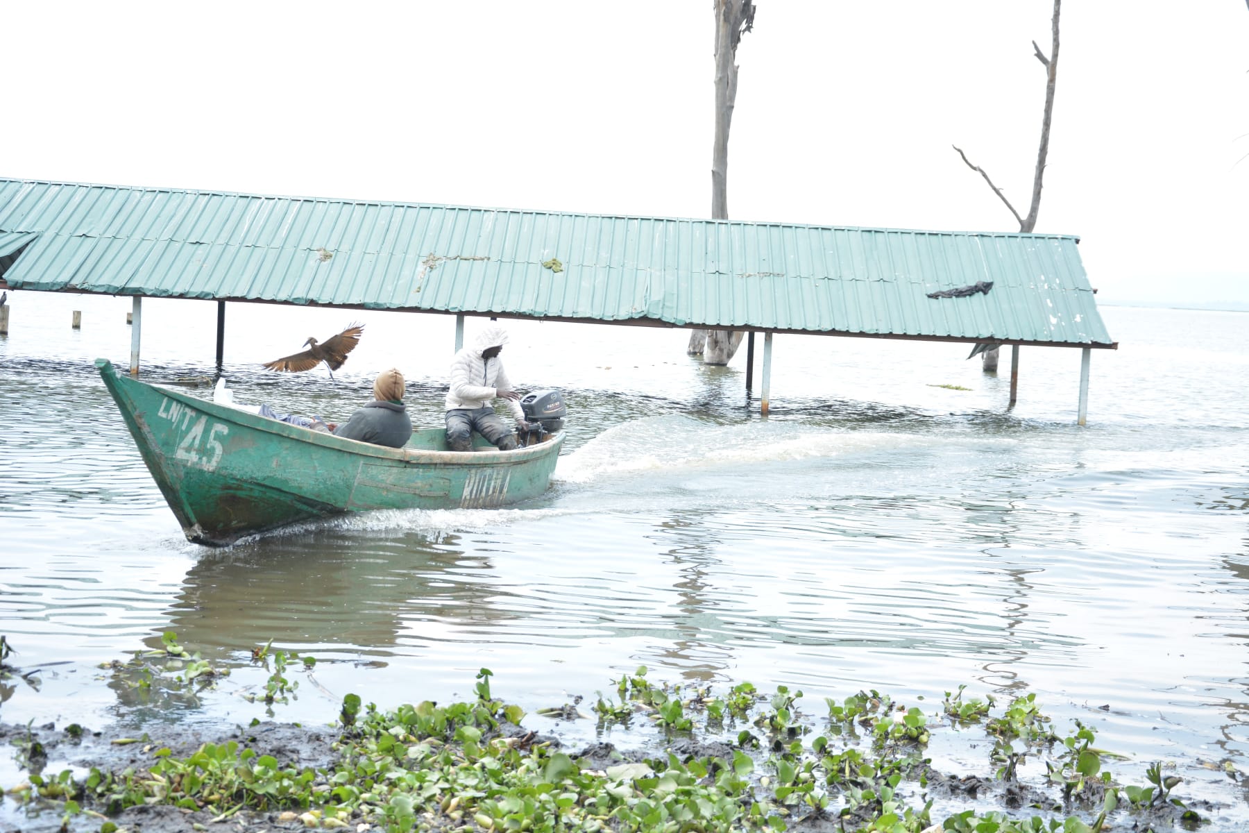Kamere landing beach has been flooded by rising water levels in Lake Naivasha, Kenya [Hafsa Abdiwahab Sheikh/Al Jazeera]