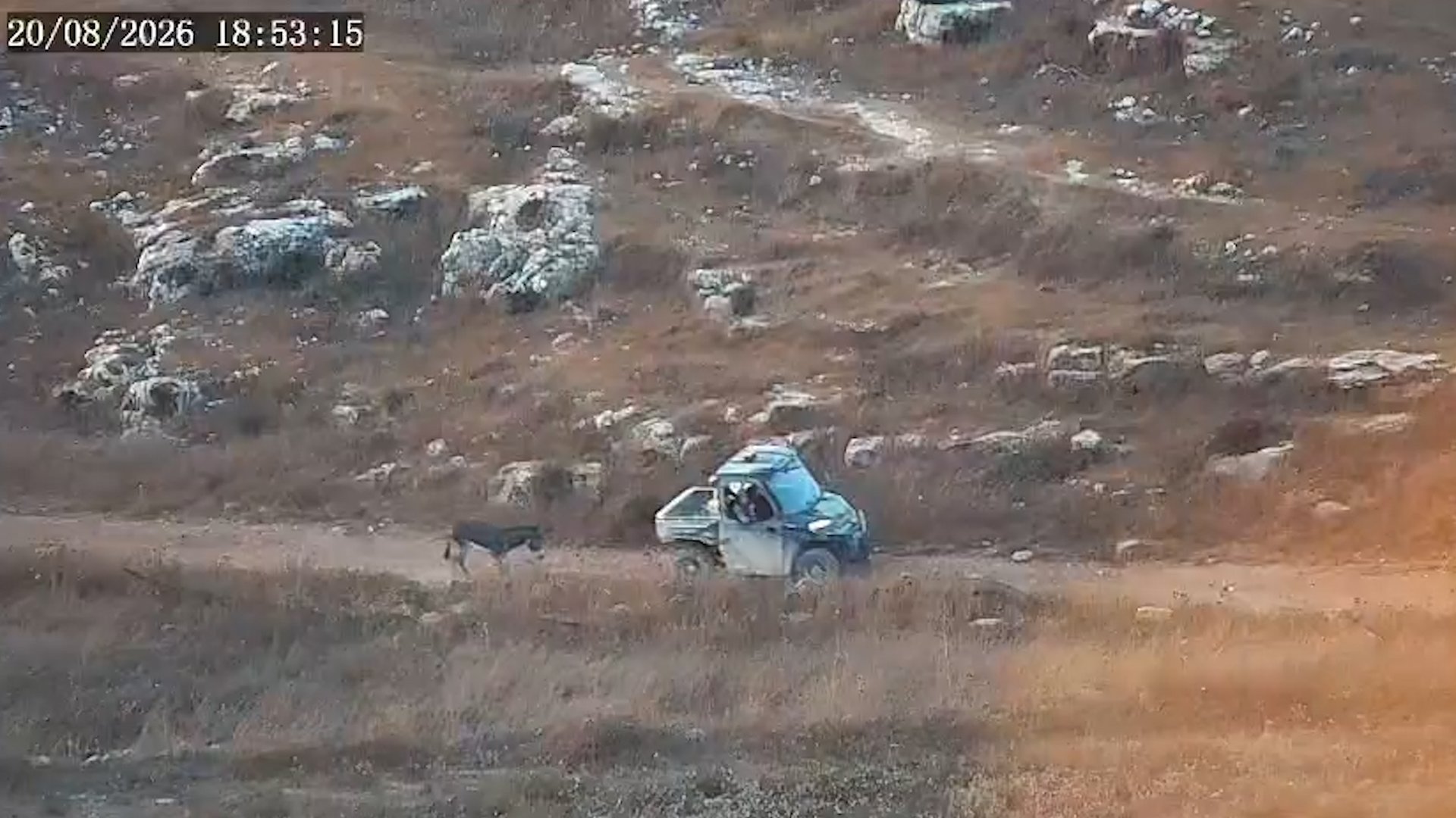 A donkey belonging to a Palestinian farmer was reportedly stolen and dragged to death behind a vehicle by Israeli settlers. [Screenshot]